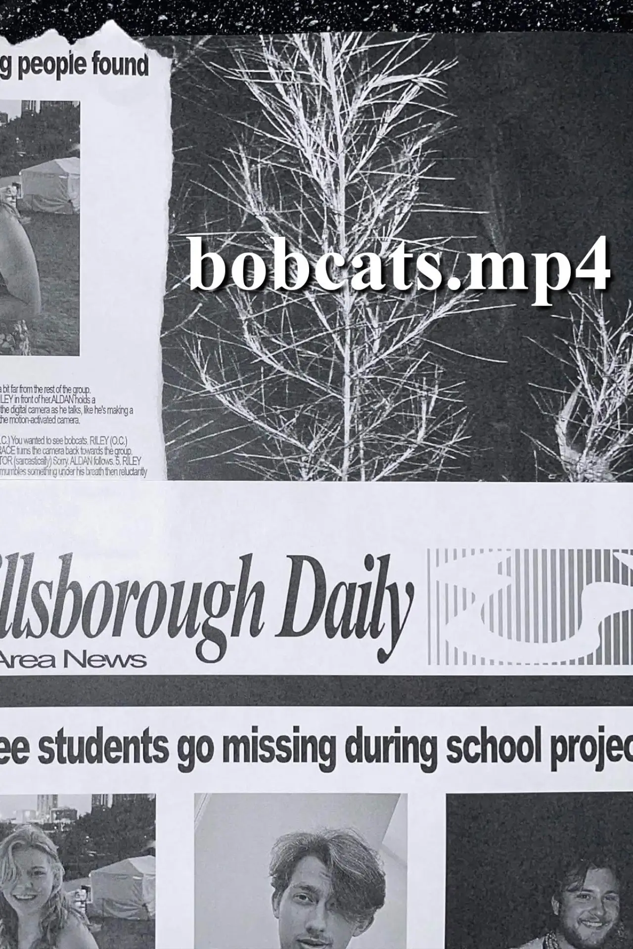 Постер к фильму "bobcats.mp4"