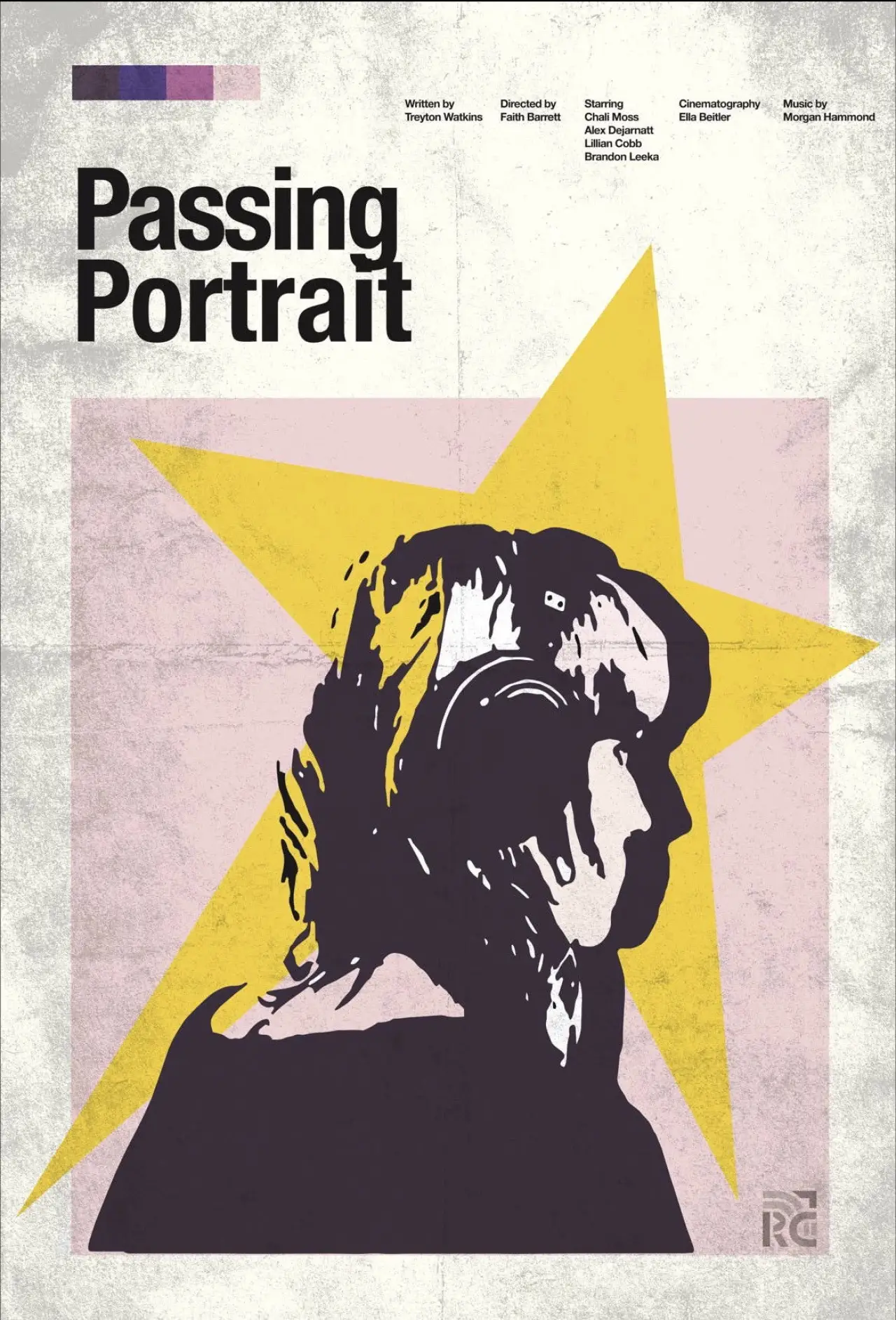 Постер к фильму "Passing Portrait"