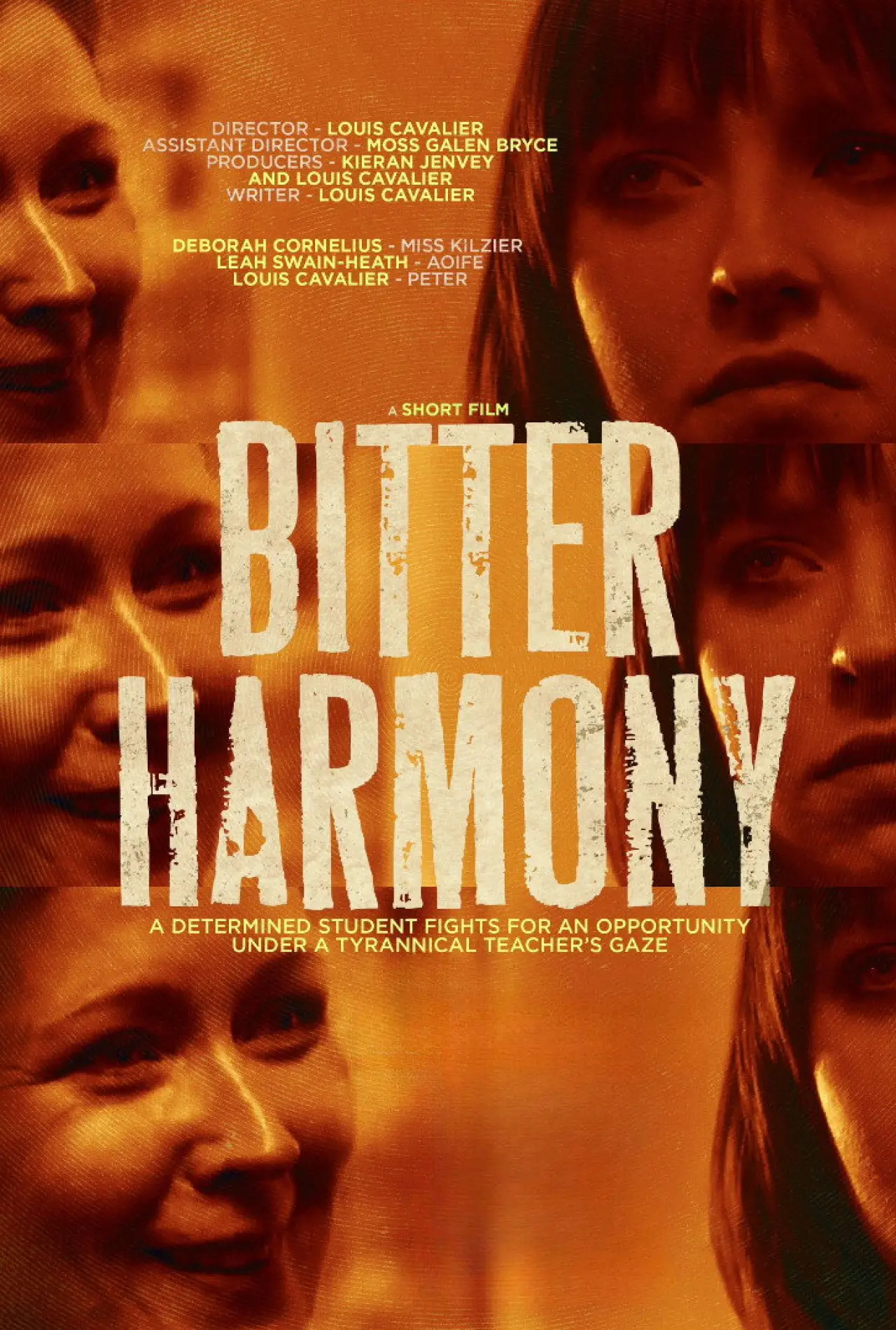 Постер к фильму "Bitter Harmony"
