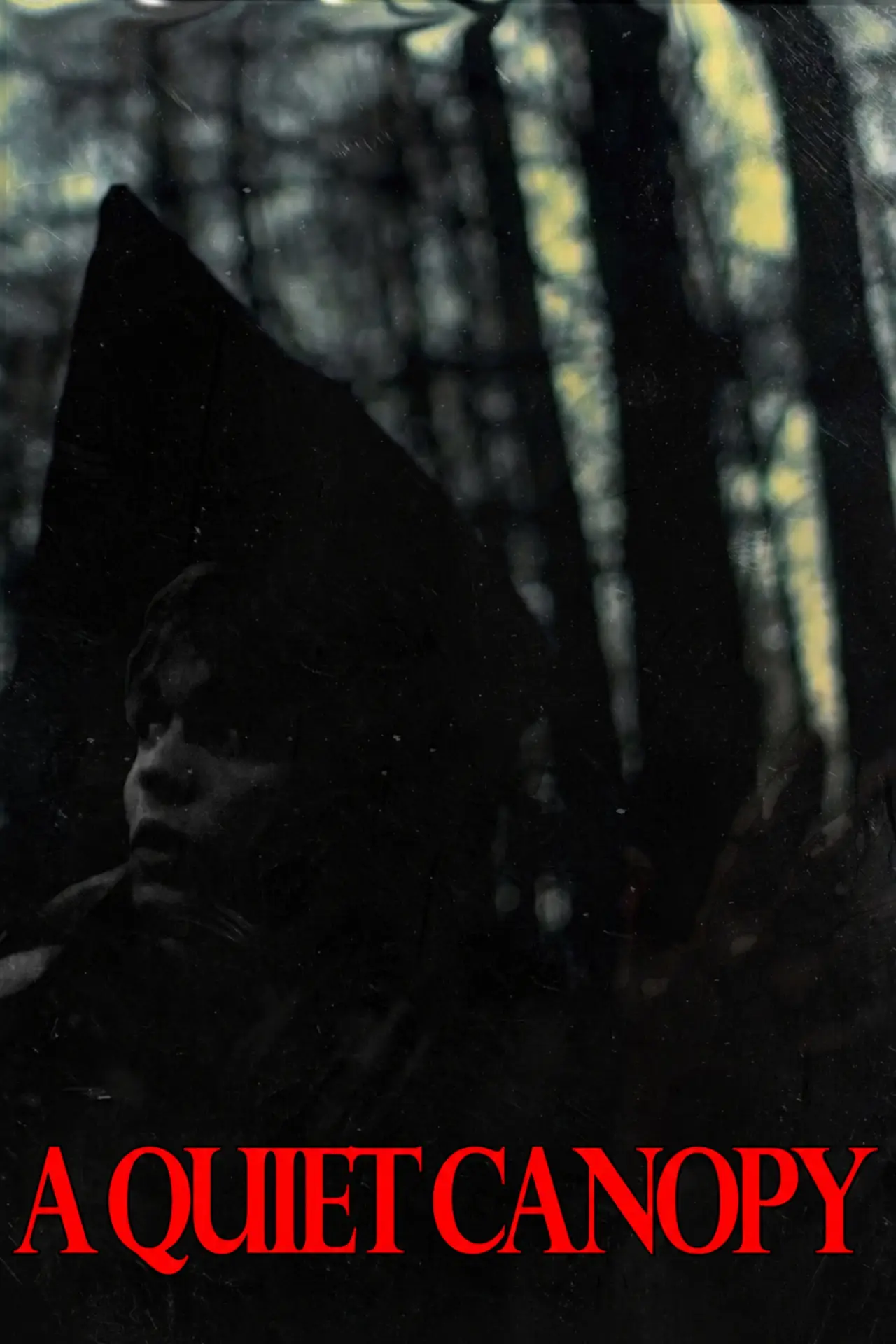 Постер к фильму "A Quiet Canopy"