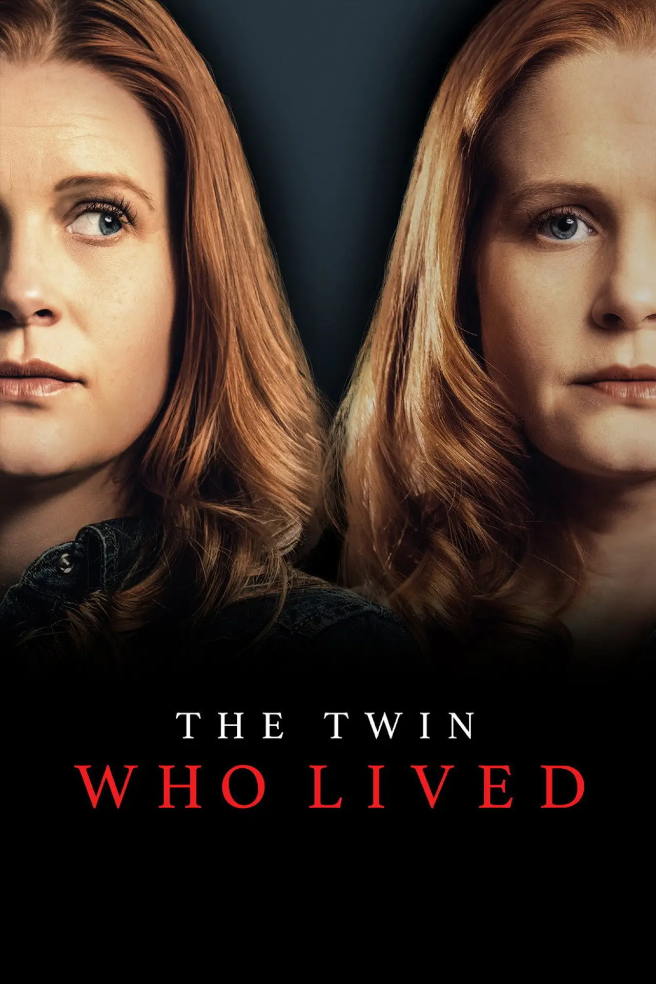 Постер к фильму "The Twin Who Lived"