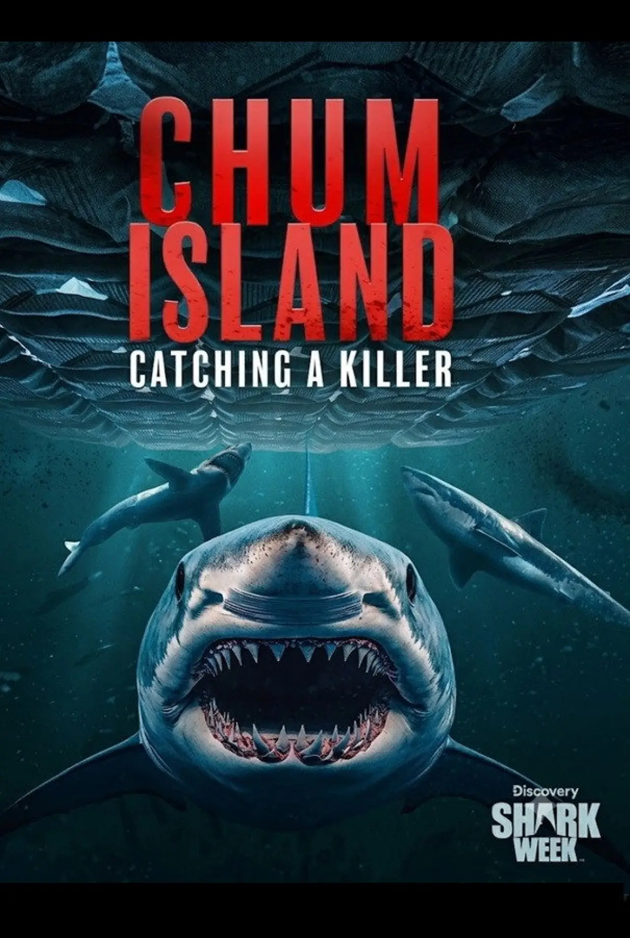 Постер к фильму "Chum Island: Catching a Killer"