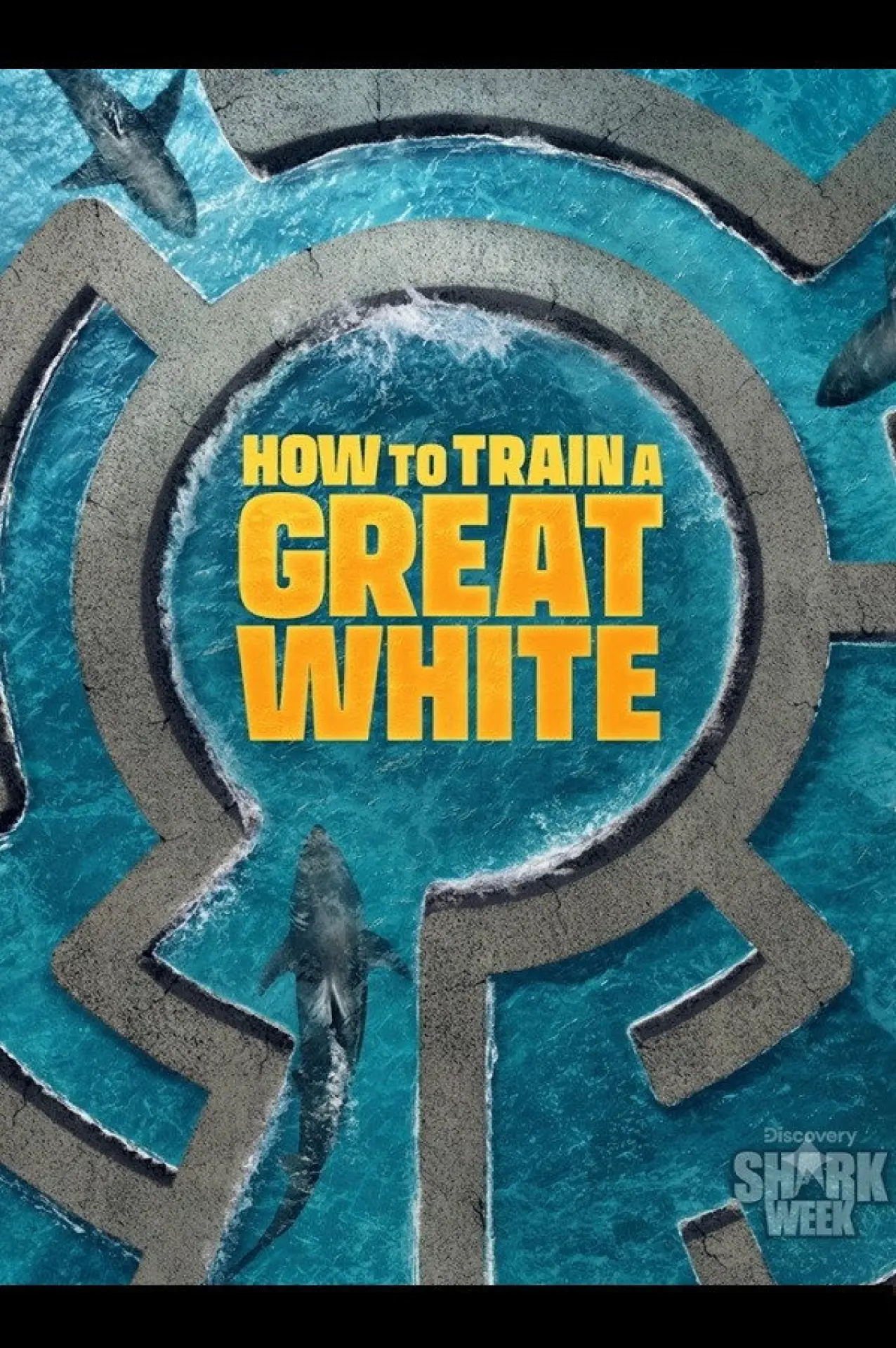 Постер к фильму "How to Train a Great White"