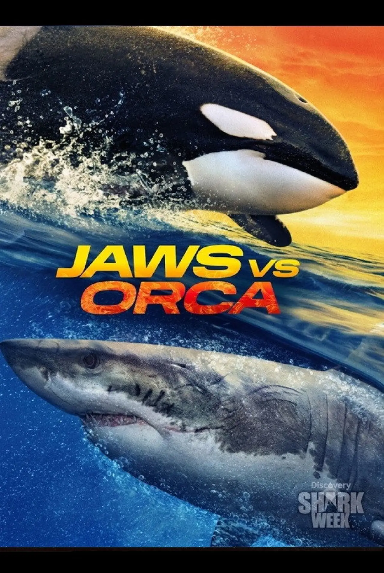 Постер к фильму "Jaws vs. Orca"