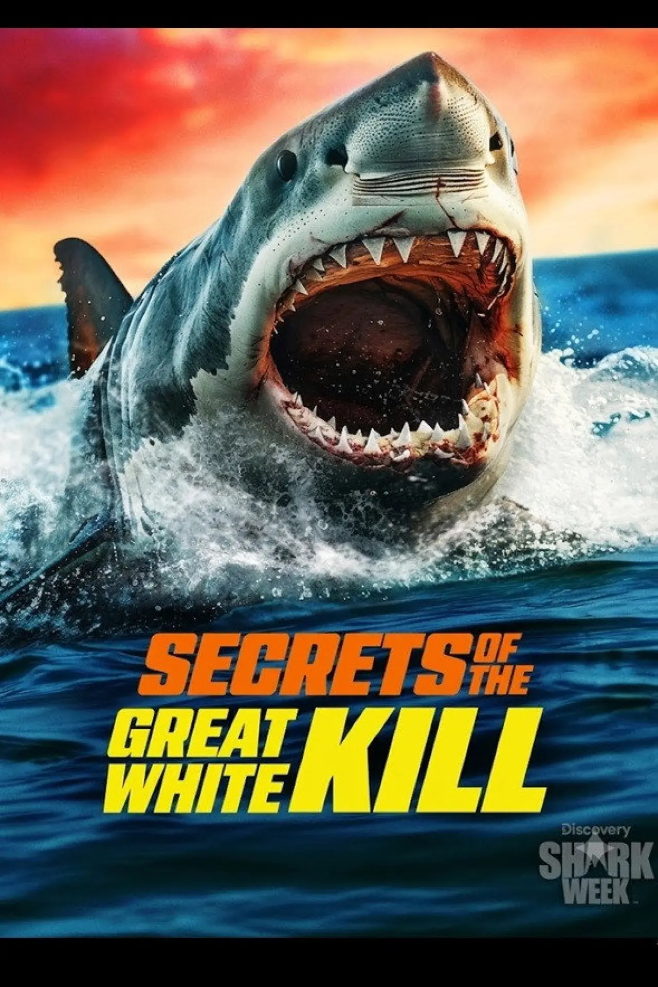 Постер к фильму "Secrets of the Great White Kill"