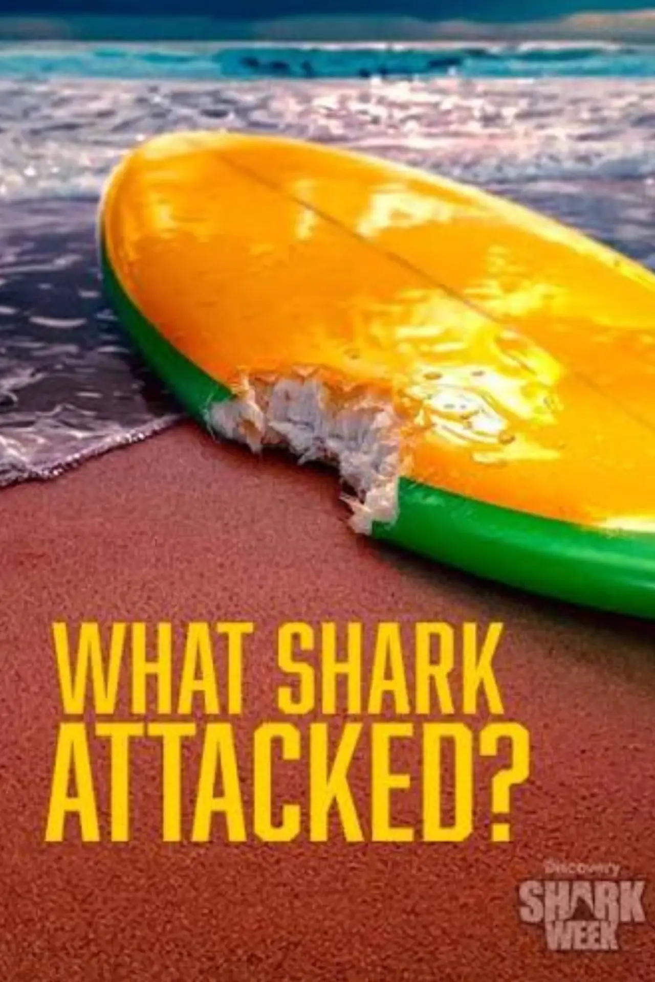 Постер к фильму "What Shark Attacked?"