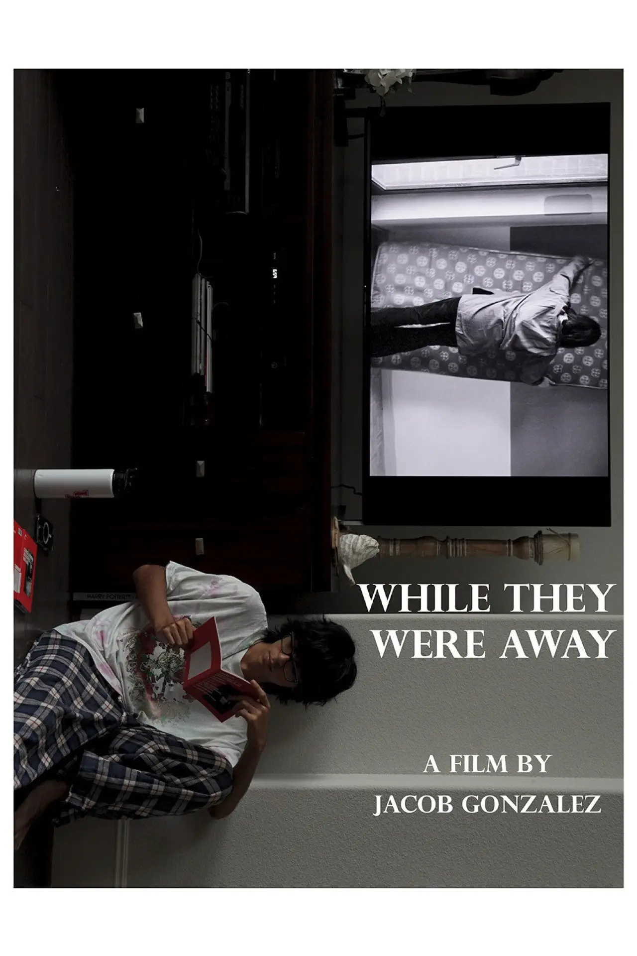 Постер к фильму "While They Were Away"