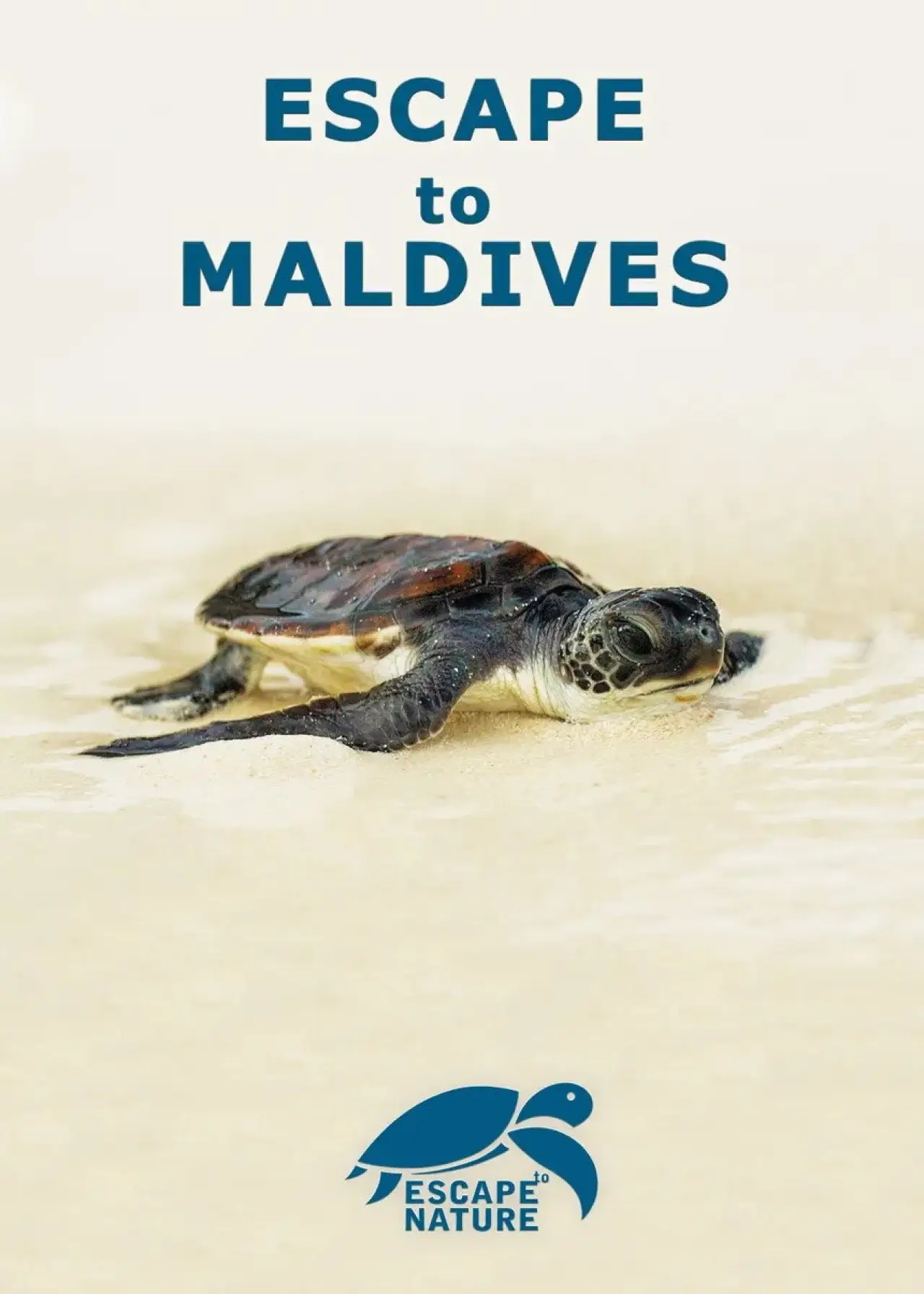 Постер к фильму "Escape to Maldives"