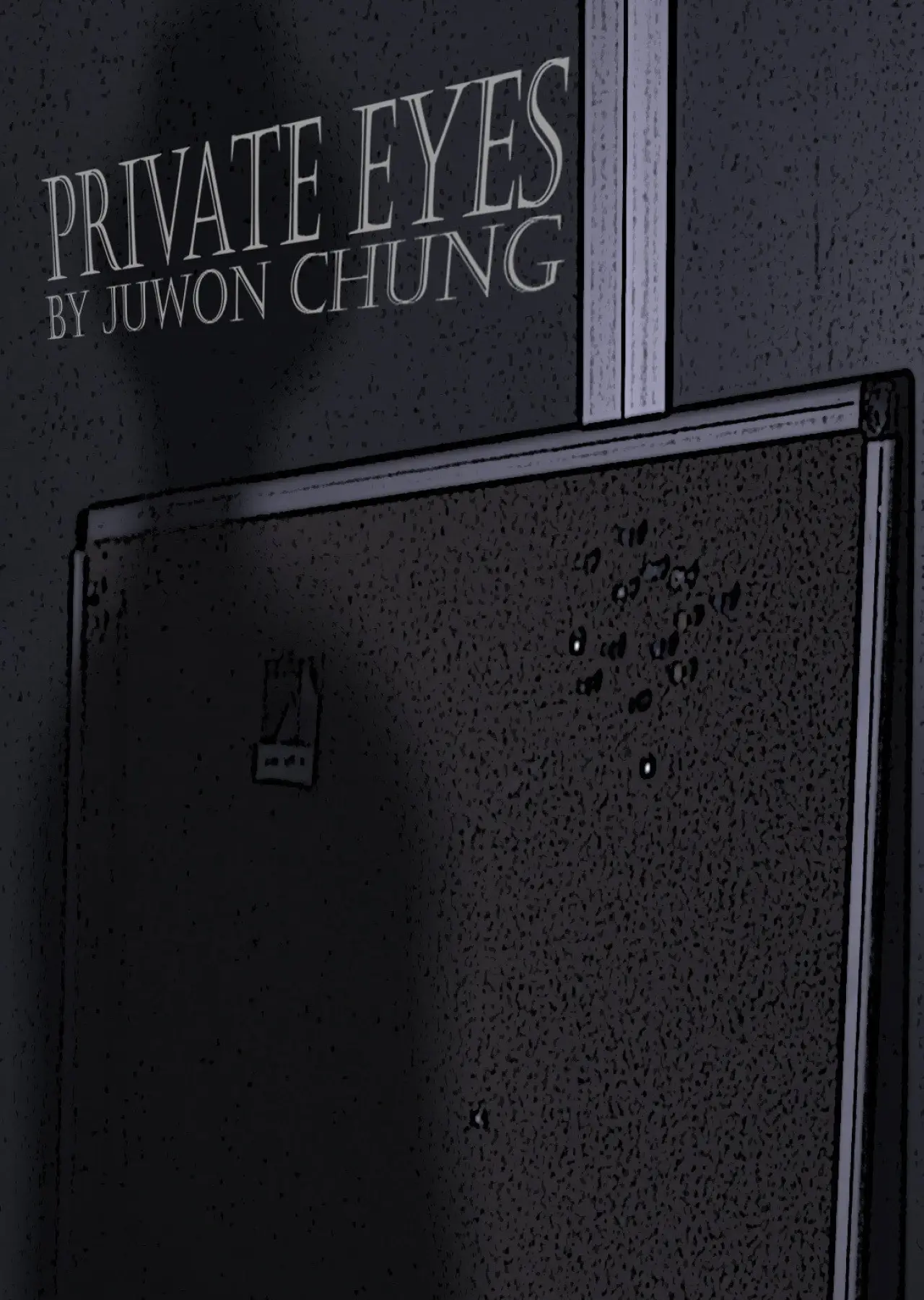 Постер к фильму "Private Eyes"