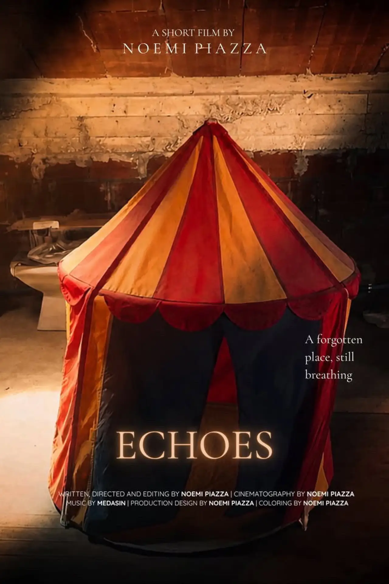 Постер к фильму "Echoes"