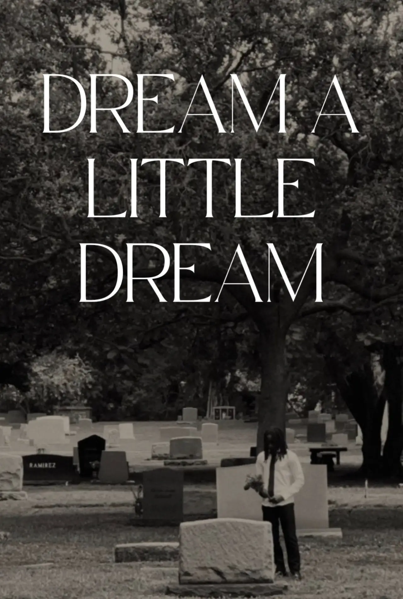 Постер к фильму "Dream a Little Dream"