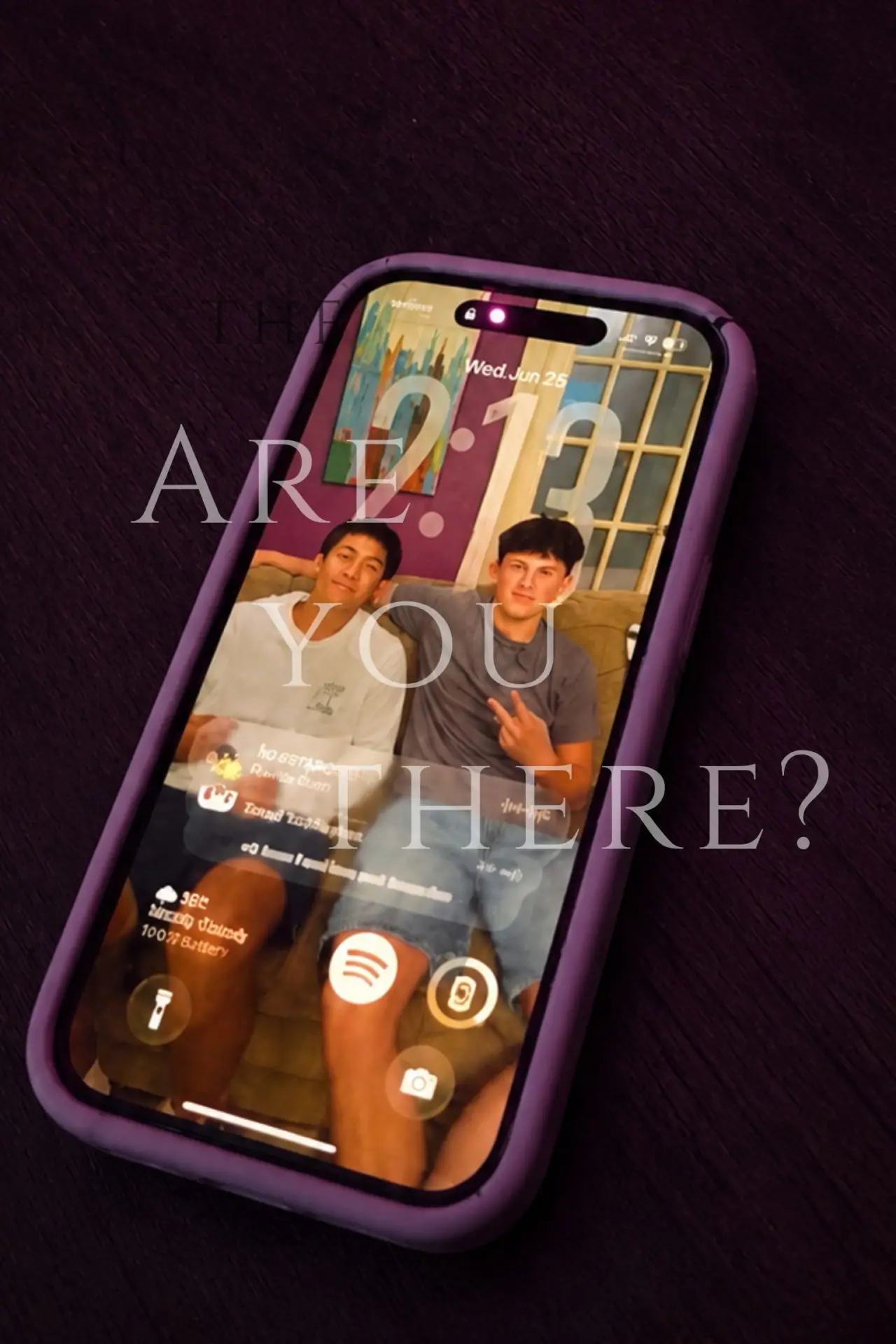 Постер к фильму "Are You There?"