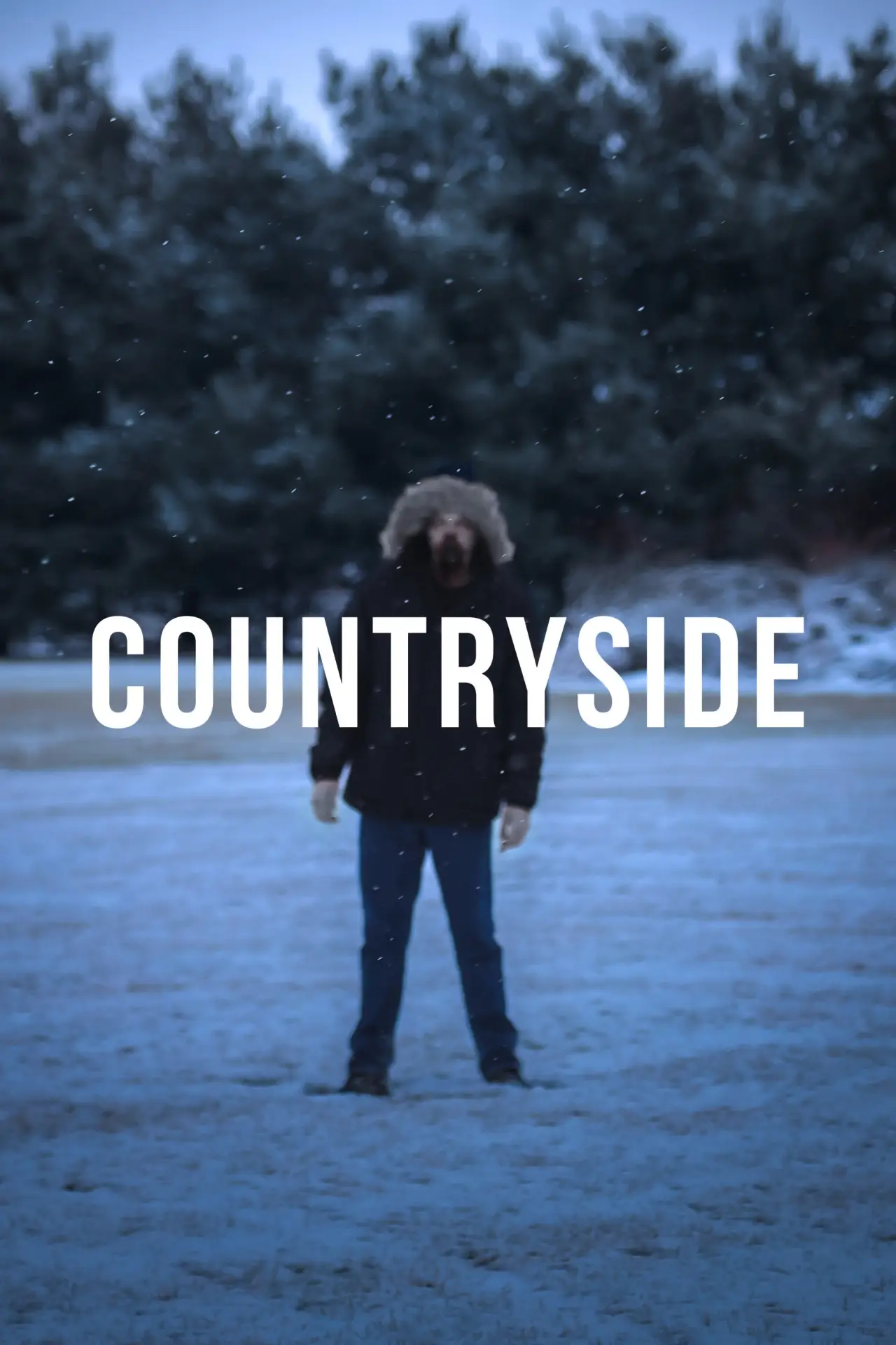 Постер к фильму "Countryside"