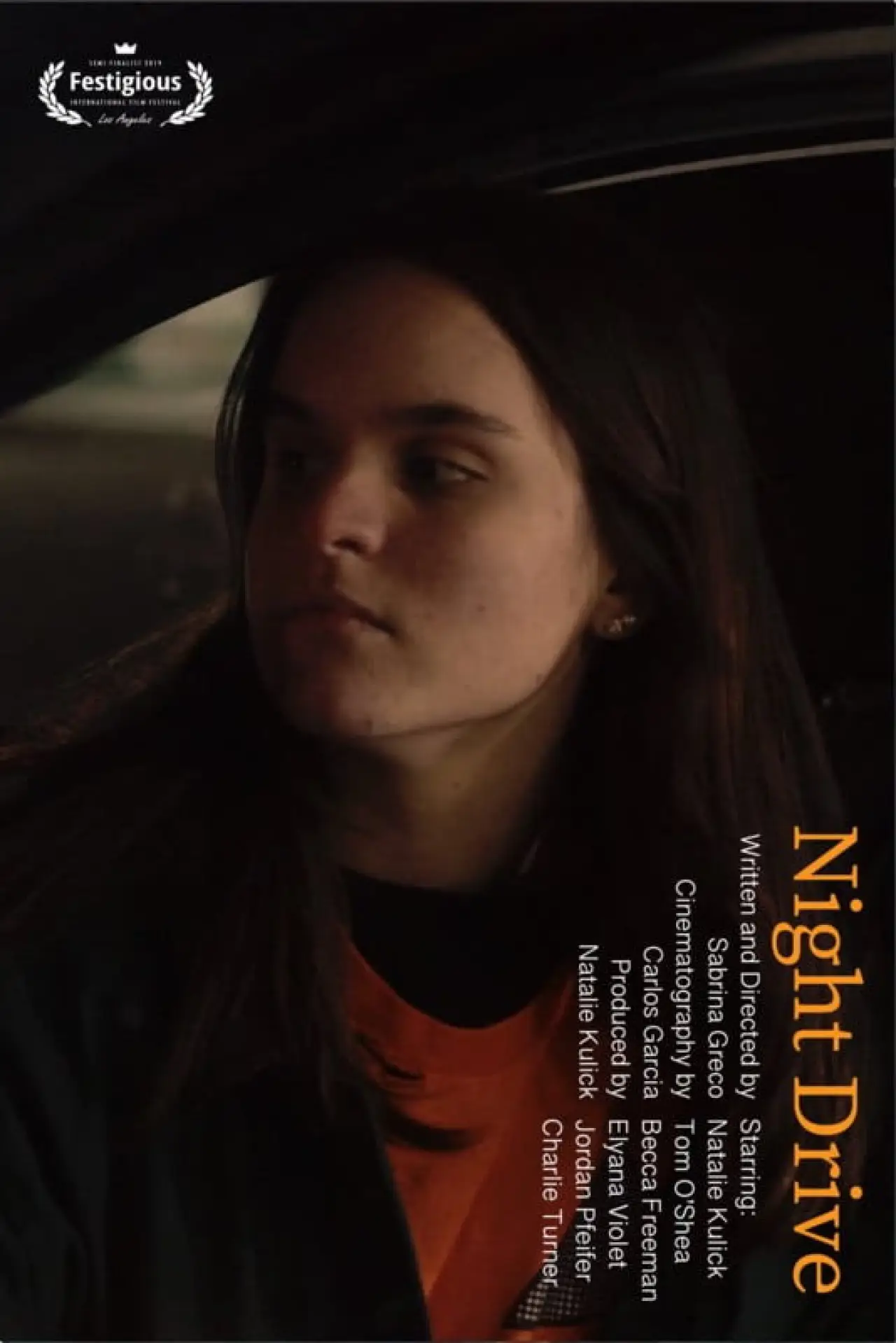 Постер к фильму "Night Drive"