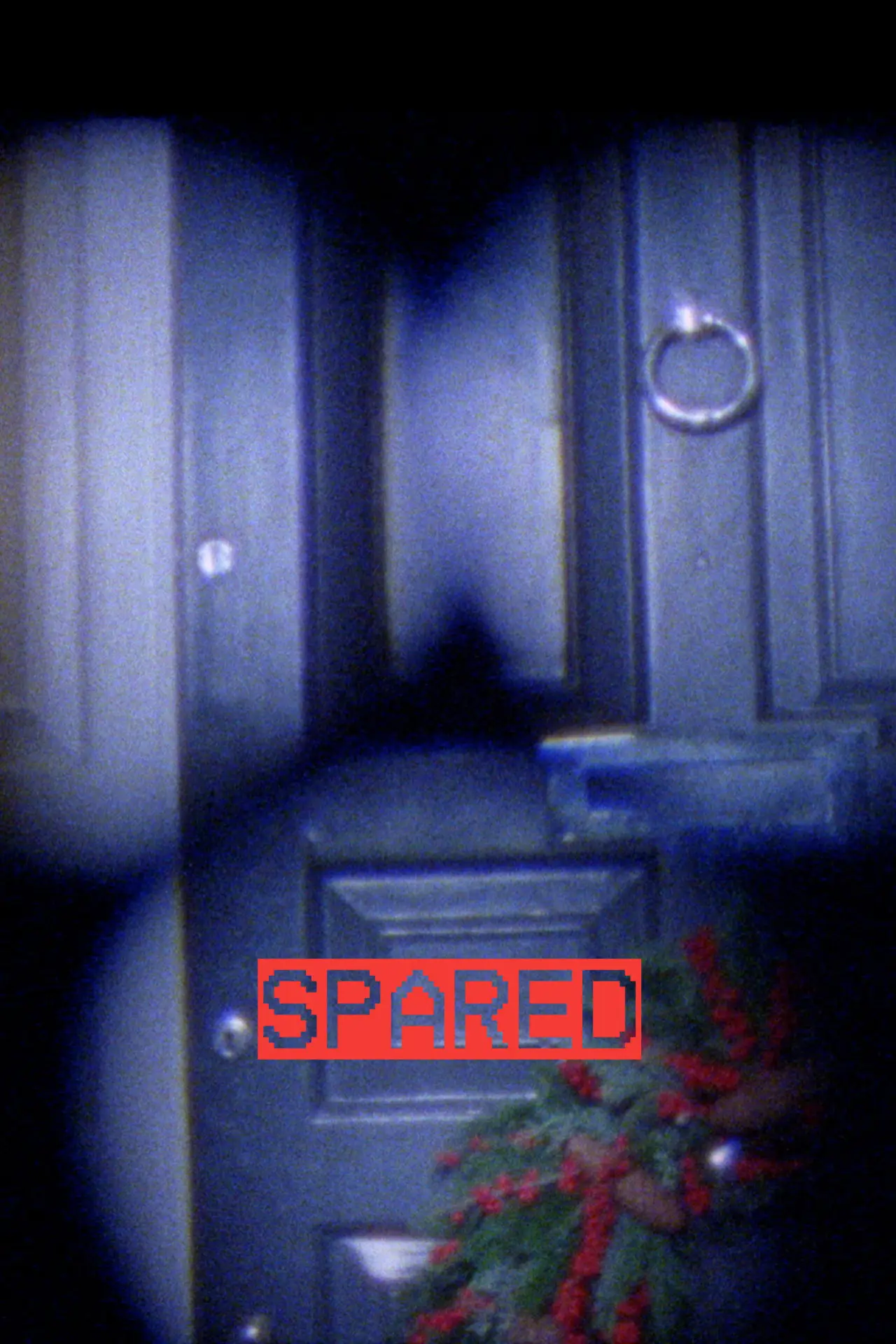 Постер к фильму "Spared"