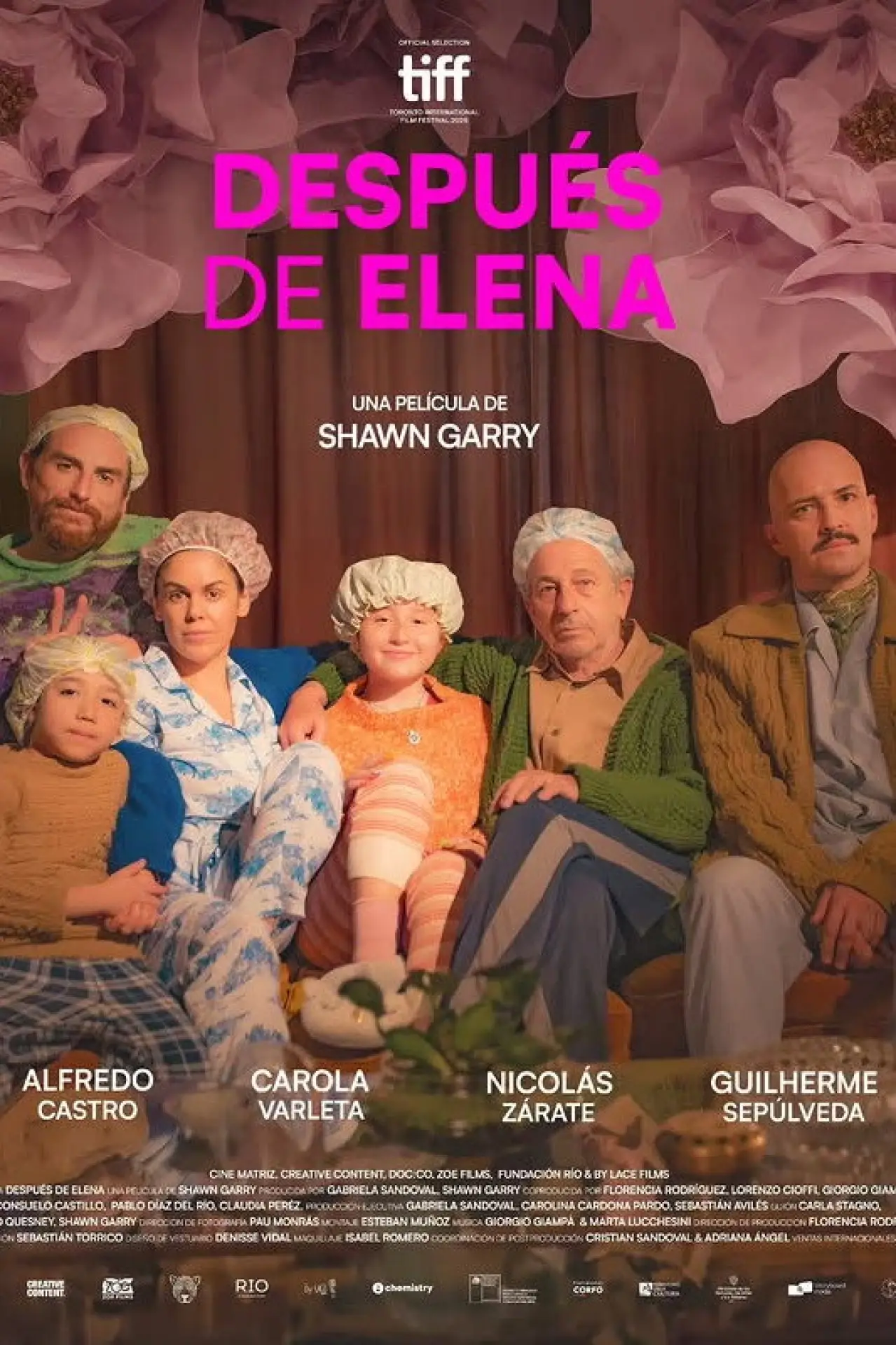Постер к фильму "Después de Elena"