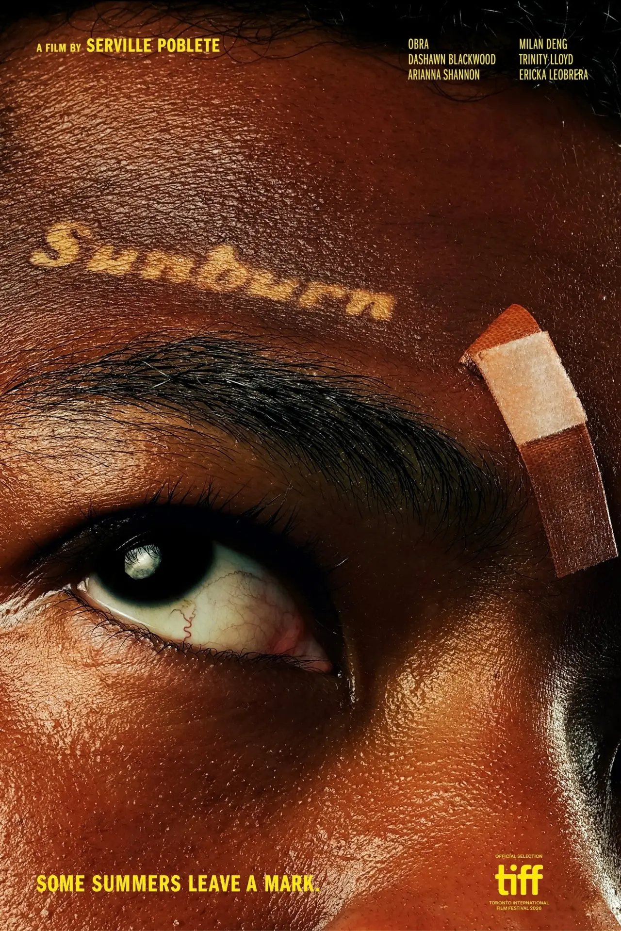 Постер к фильму "Sunburn"