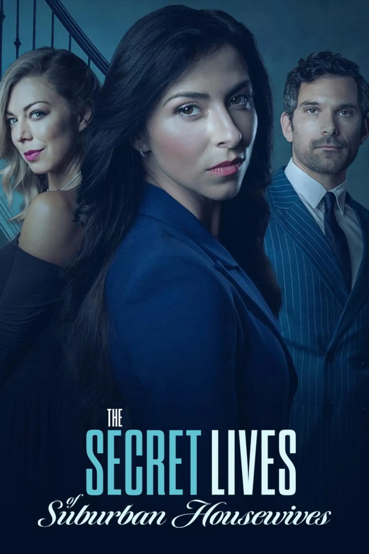 Постер к фильму "The Secret Lives of Suburban Housewives"