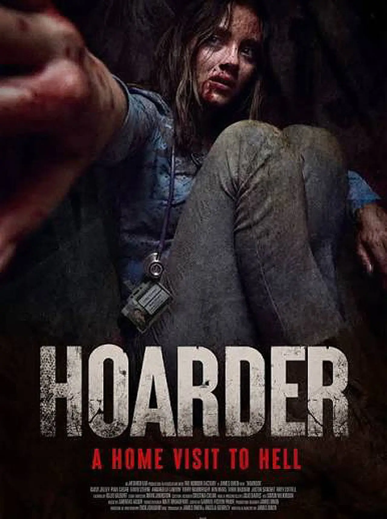 Постер к фильму "The Hoarder"