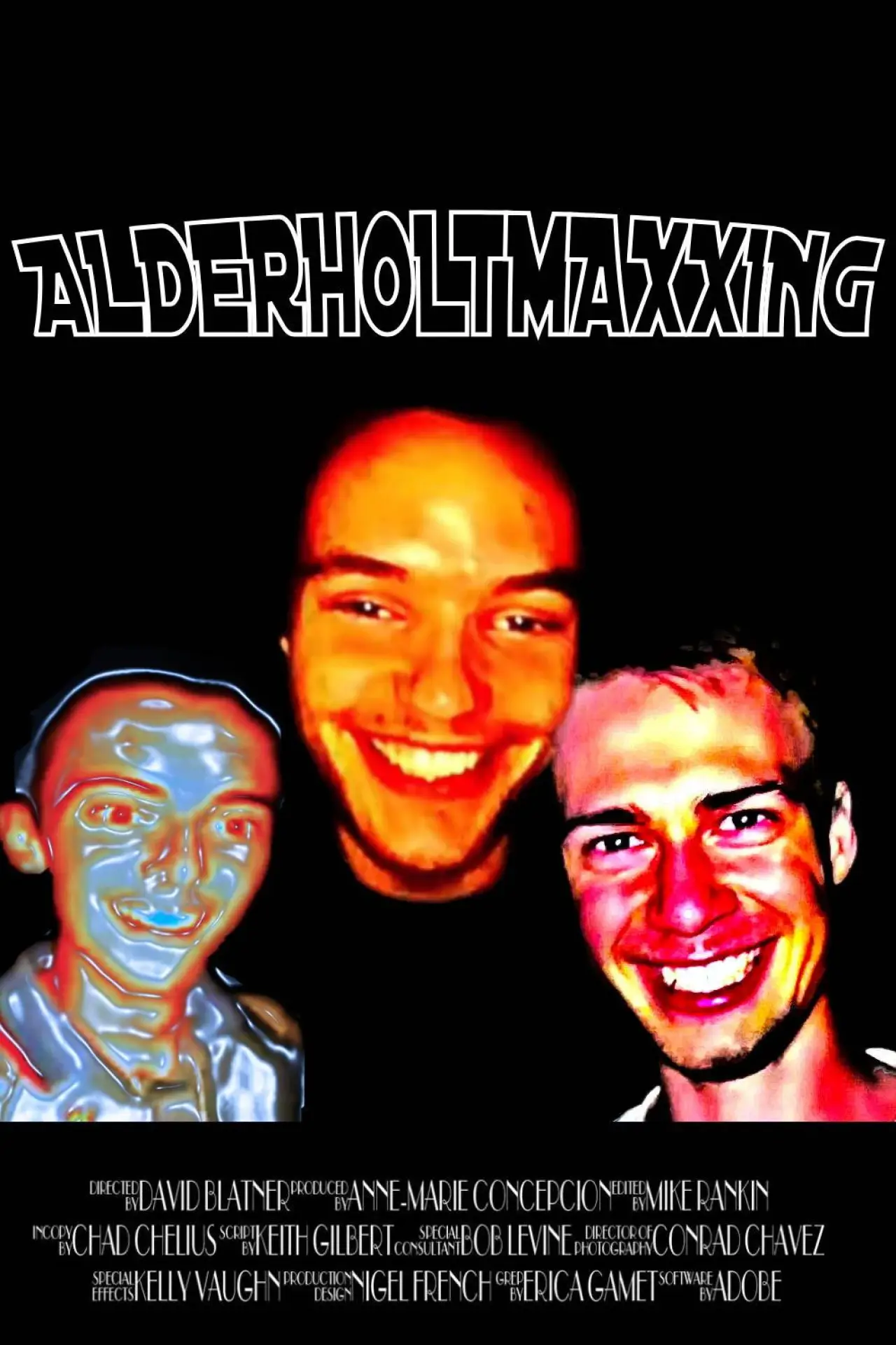 Постер к фильму "ALDERHOLTMAXXING"