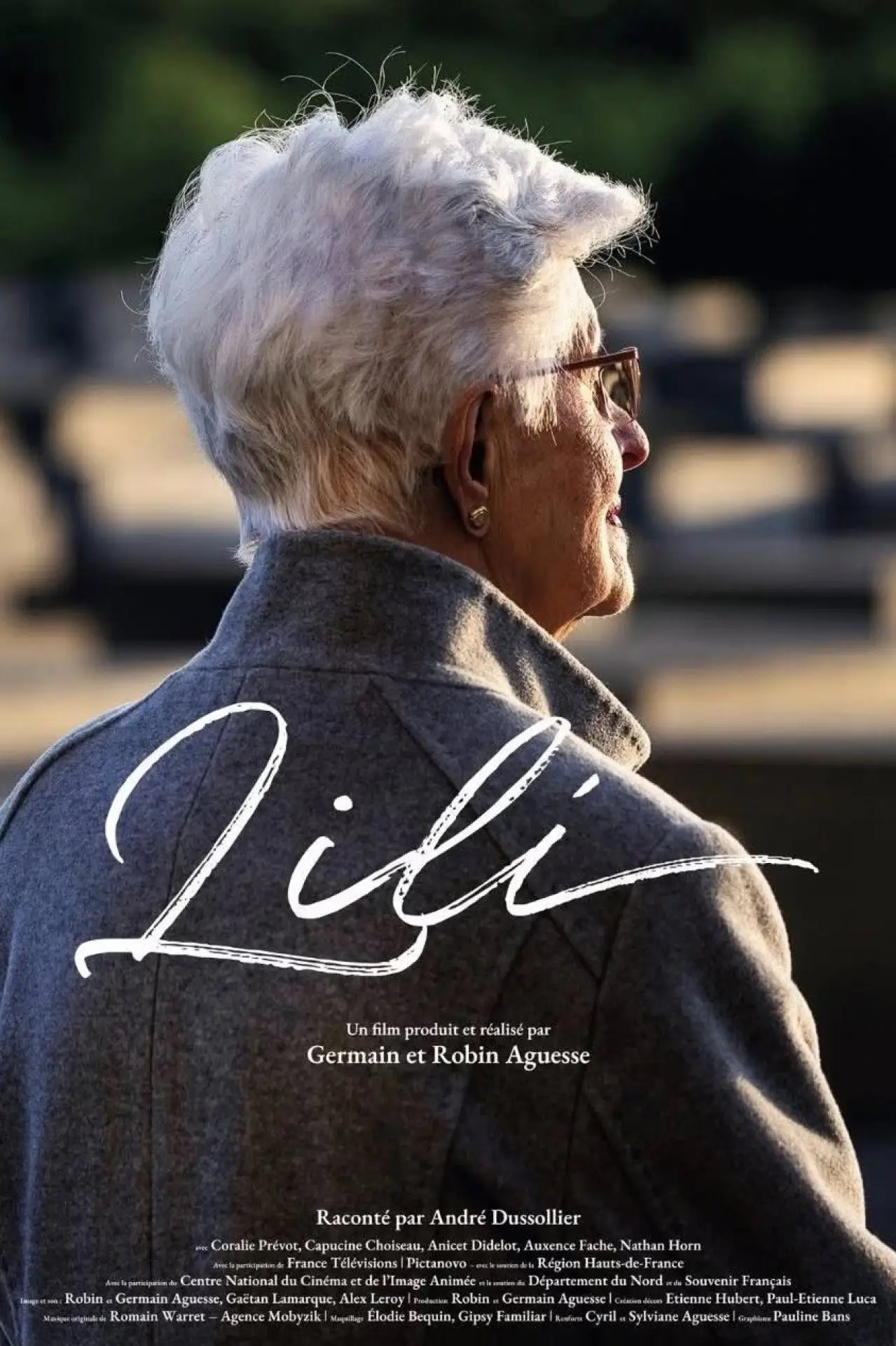 Постер к фильму "Lili"
