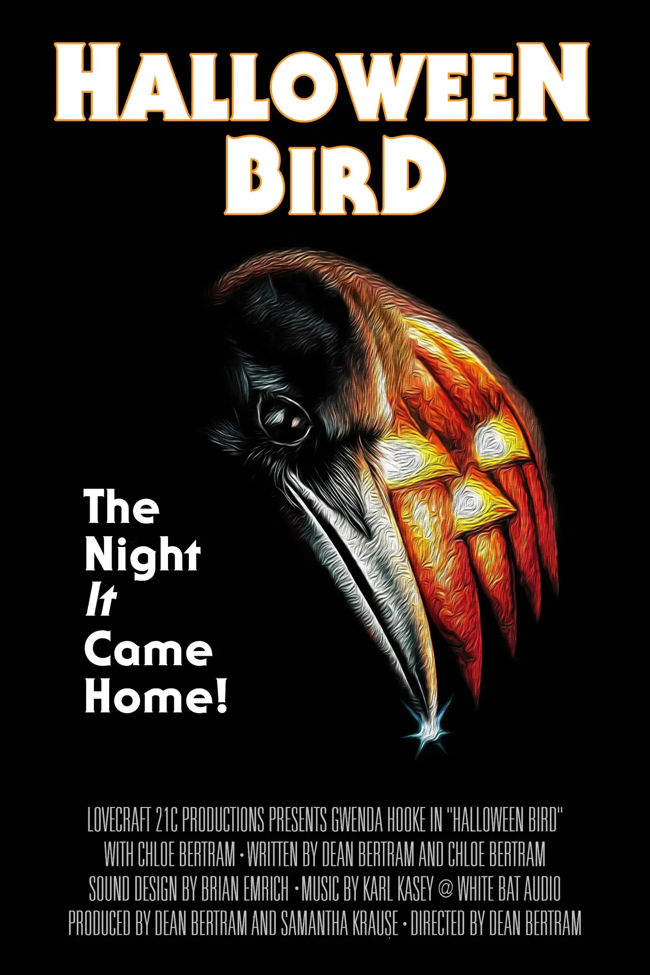 Постер к фильму "Halloween Bird"
