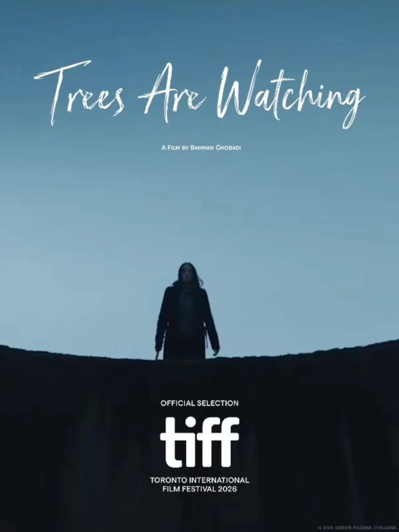 Постер к фильму "Trees are Watching"
