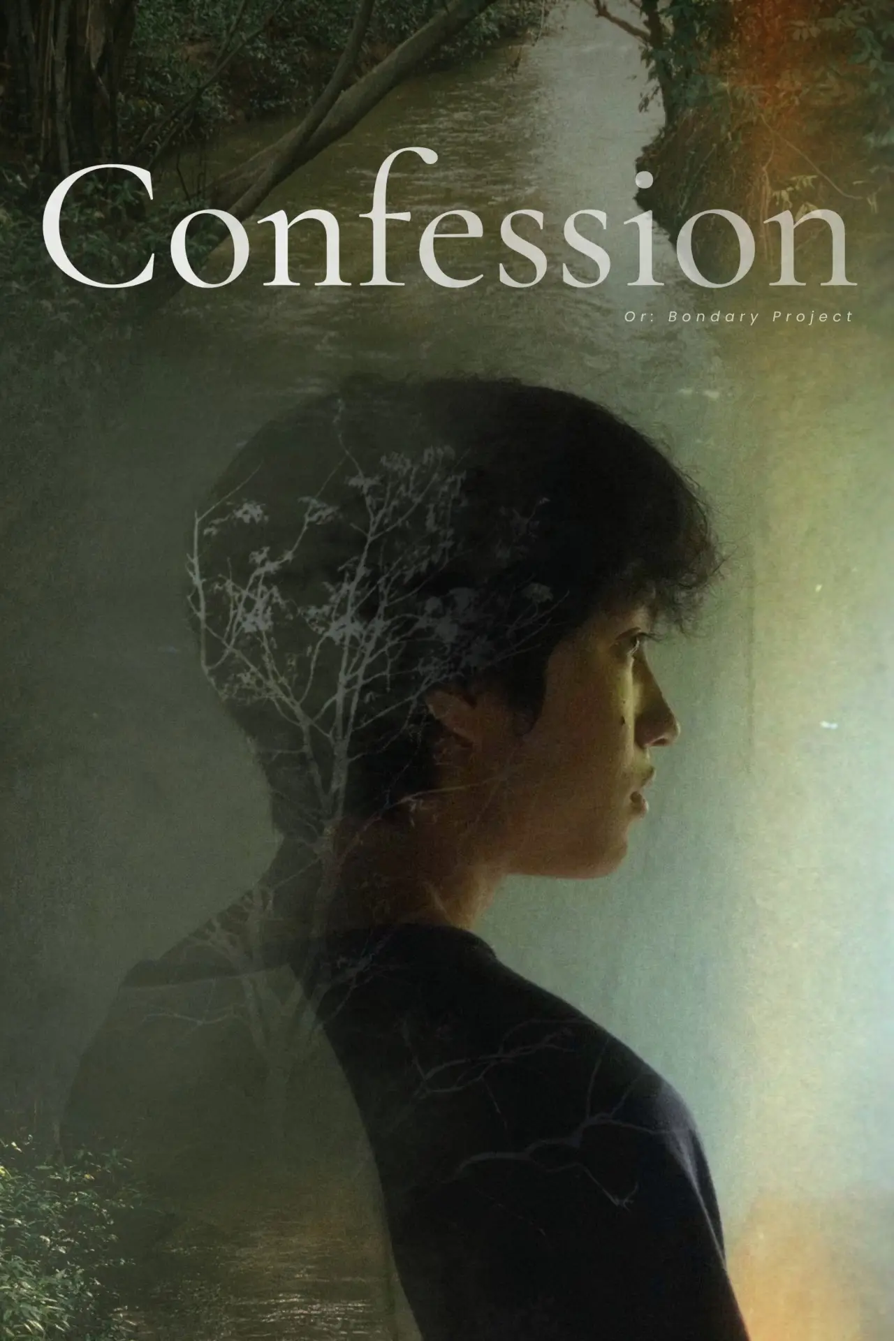 Постер к фильму "Confession or: Bondary Project"