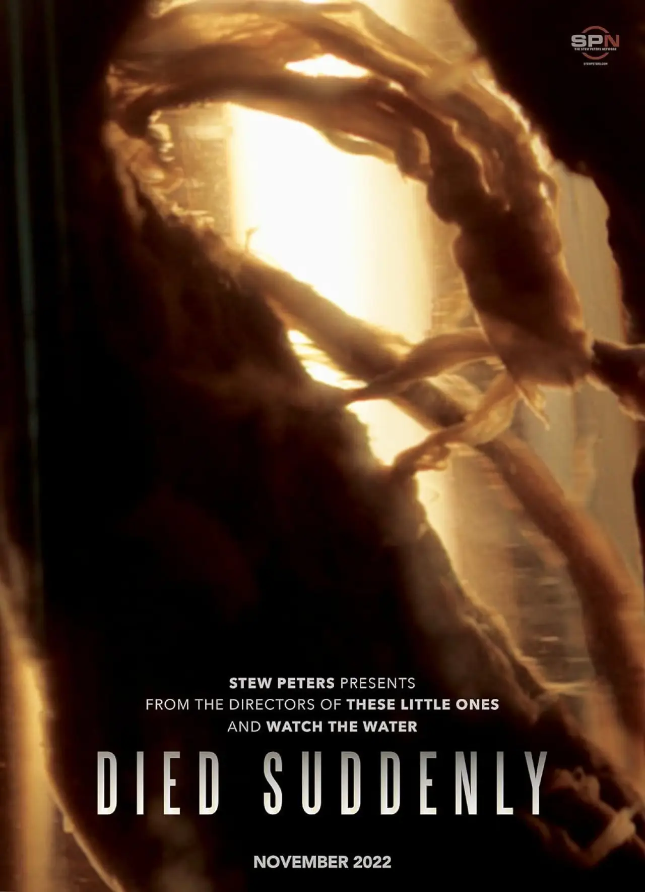 Постер к фильму "Died Suddenly"