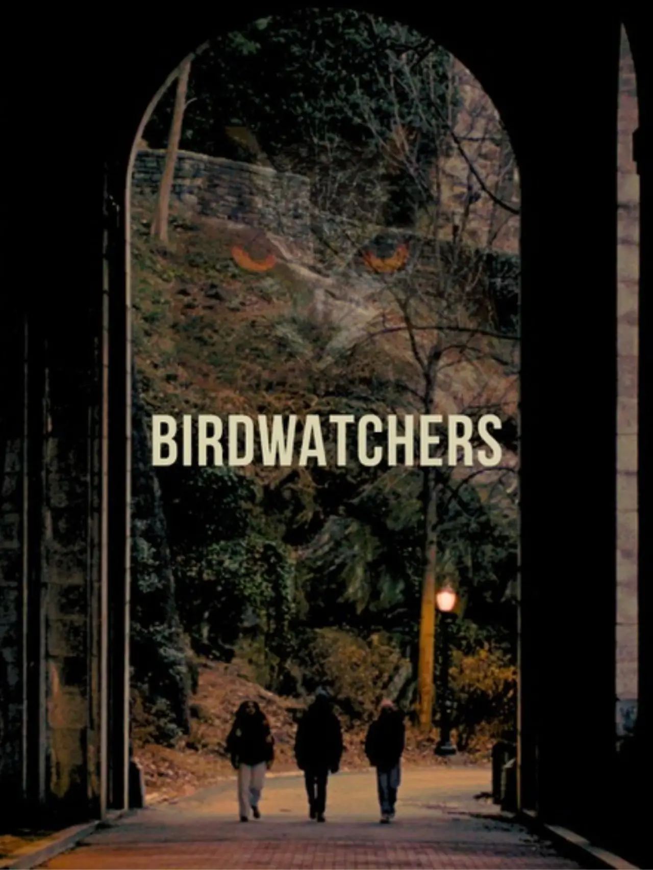 Постер к фильму "Birdwatchers"