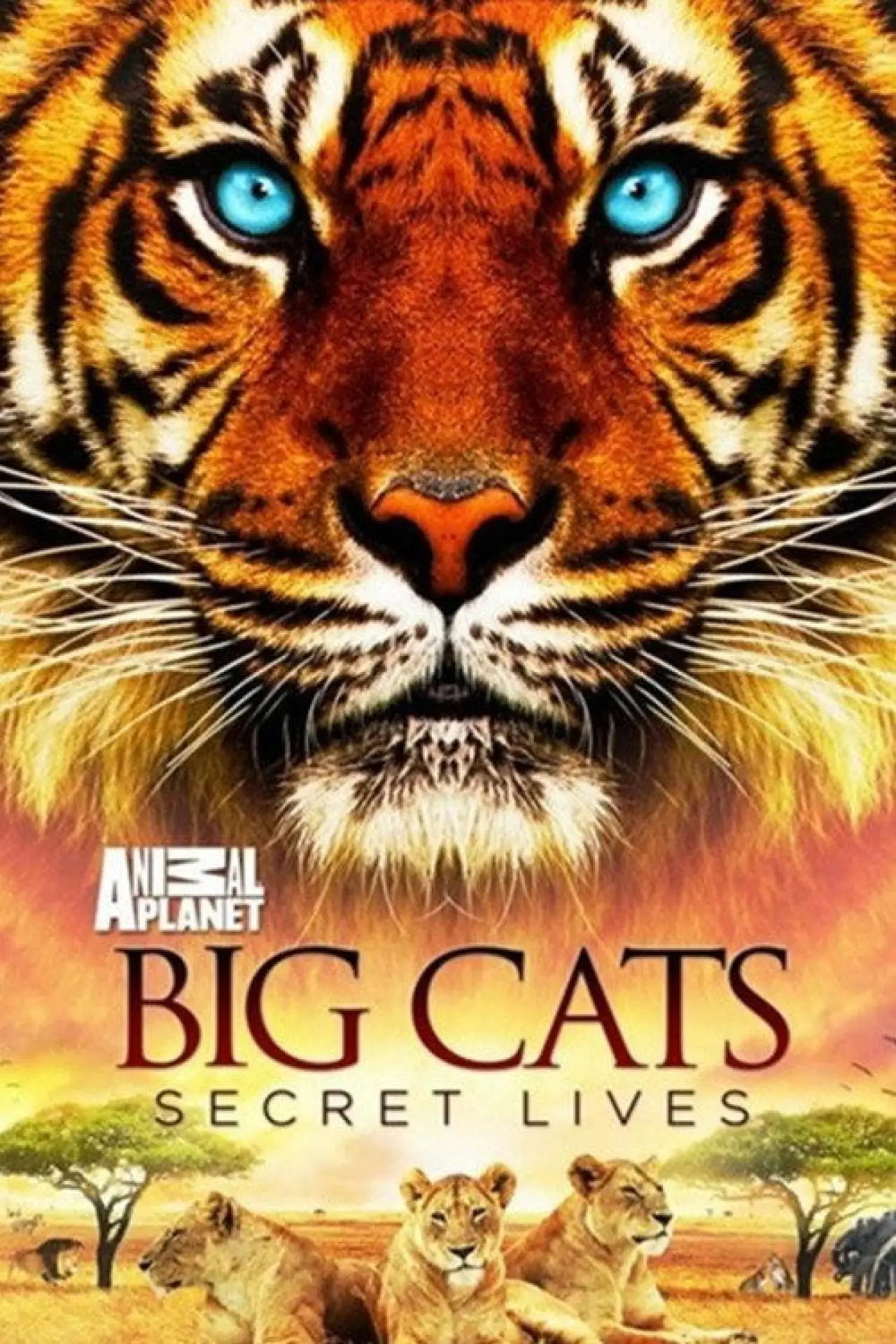 Постер к фильму "Big Cats: Secret Lives"