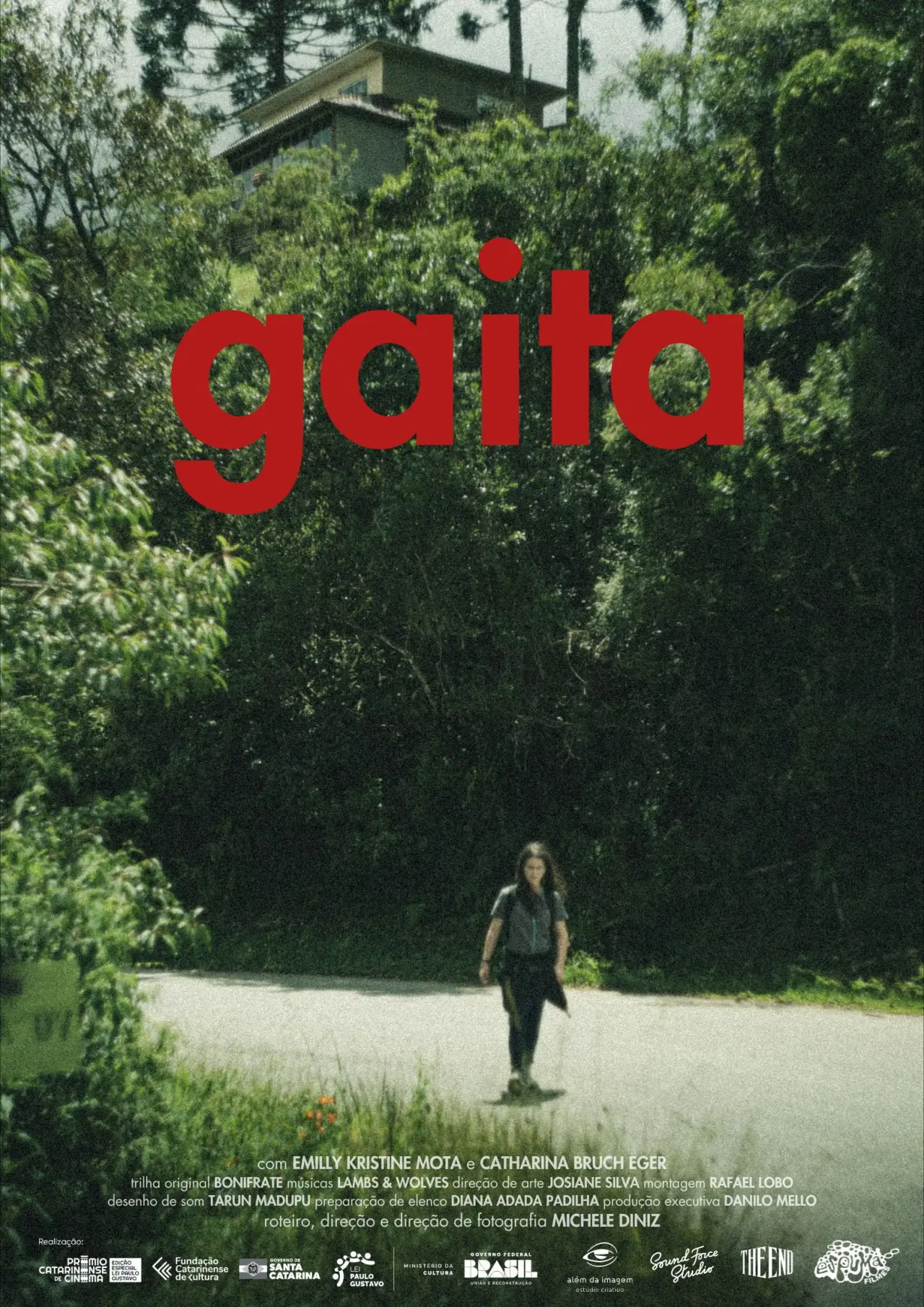Постер к фильму "Gaita"