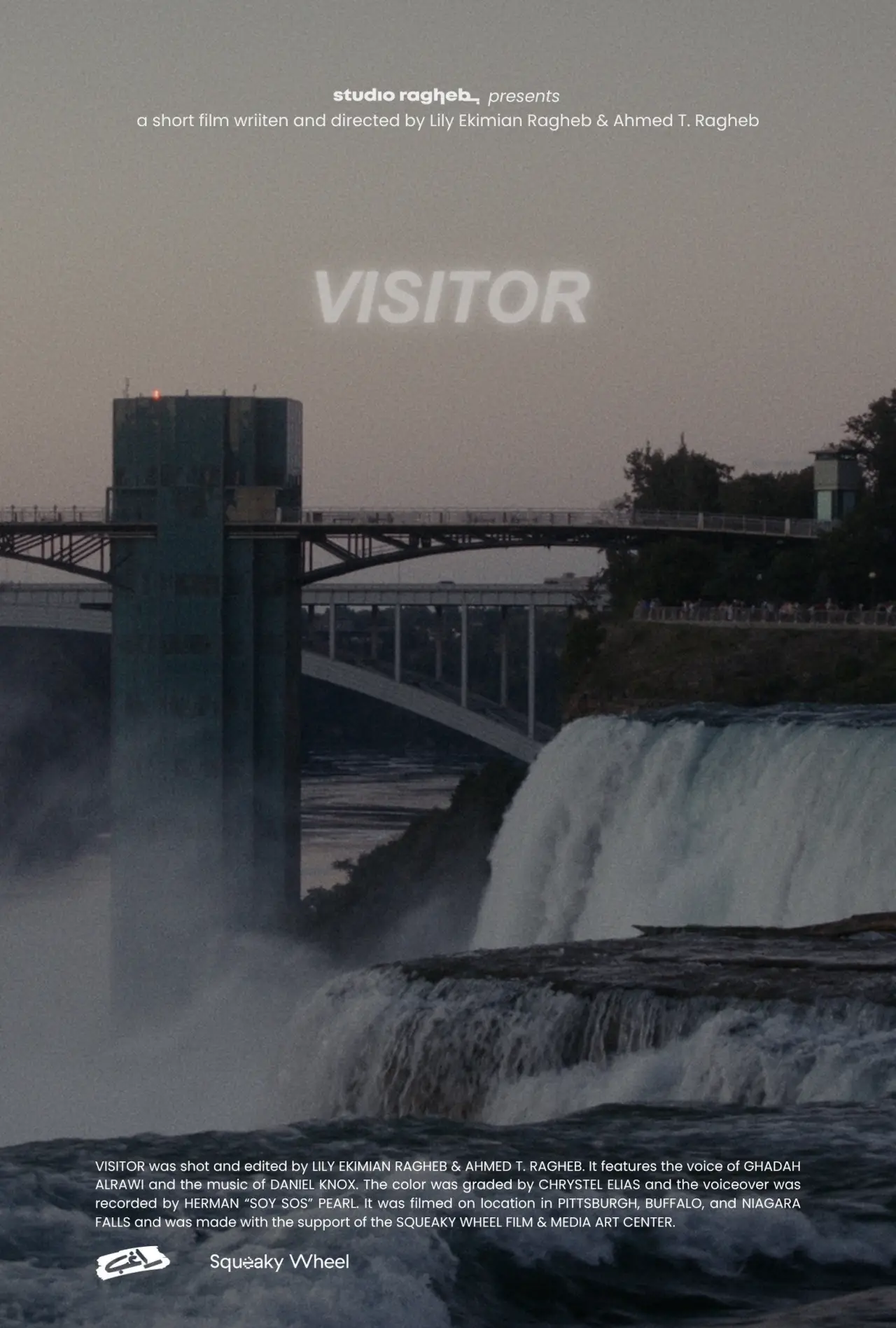 Постер к фильму "Visitor"