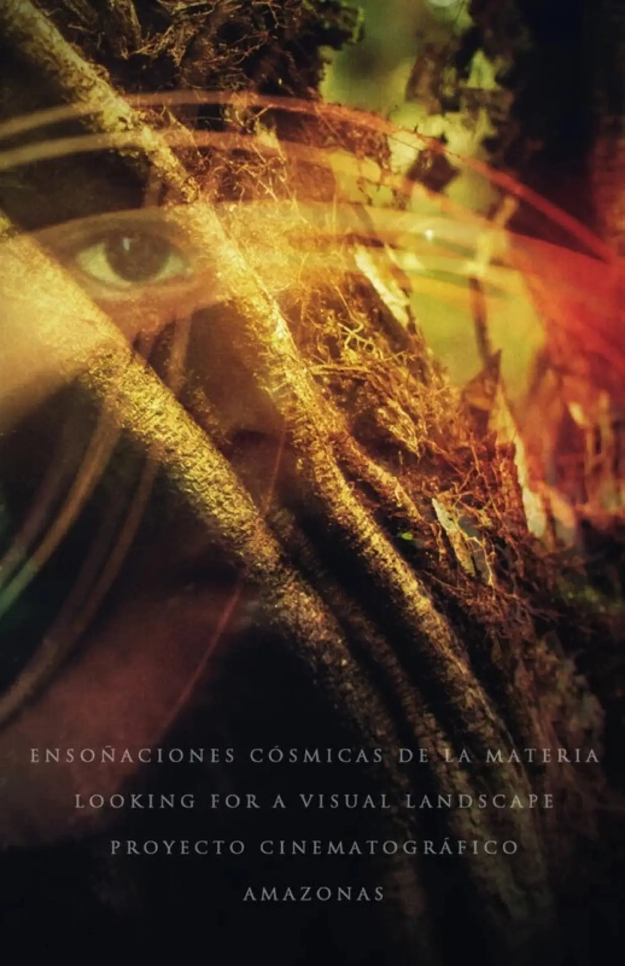 Постер к фильму "Ensoñaciones cósmicas de la materia"