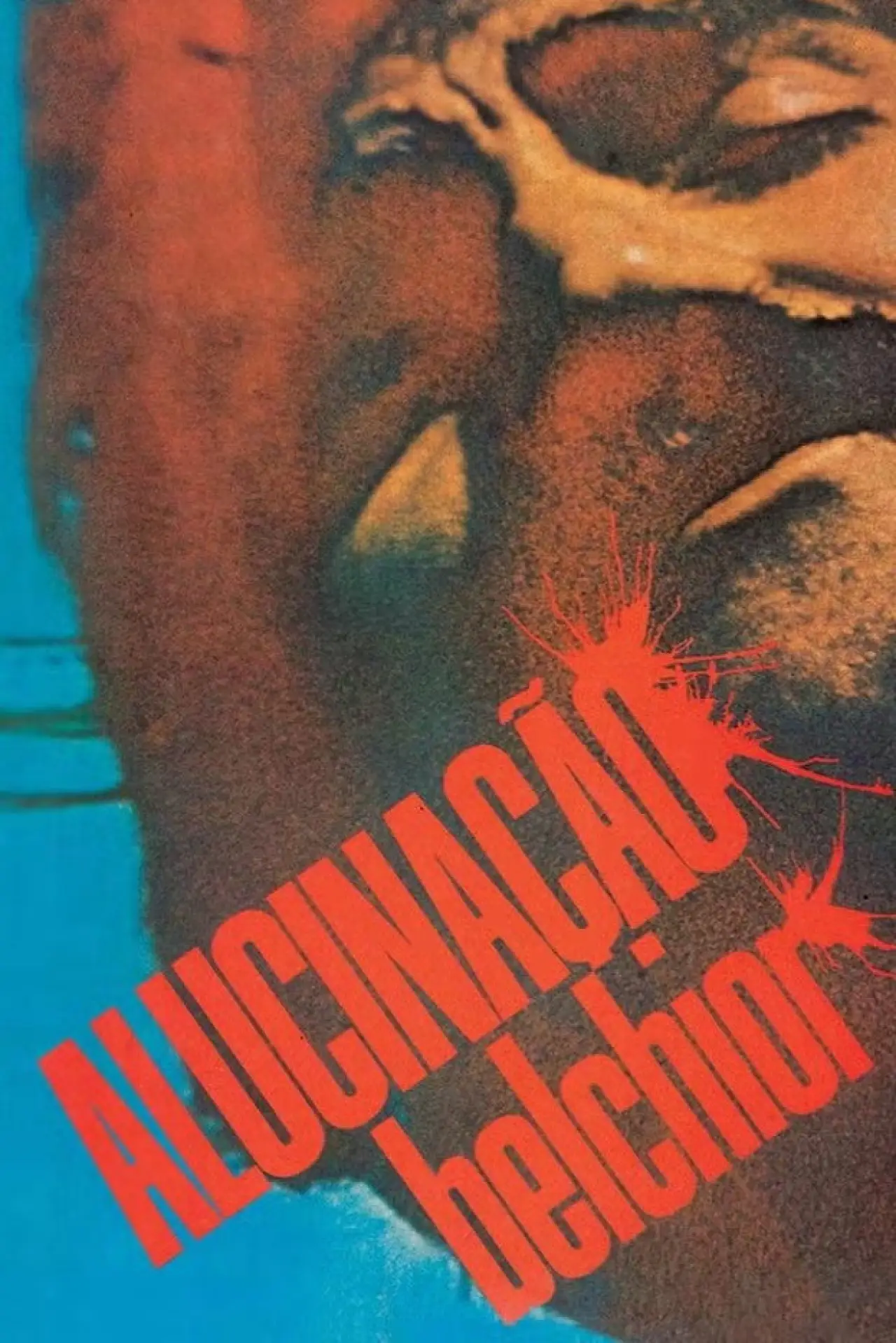 Постер к фильму "Alucinação"