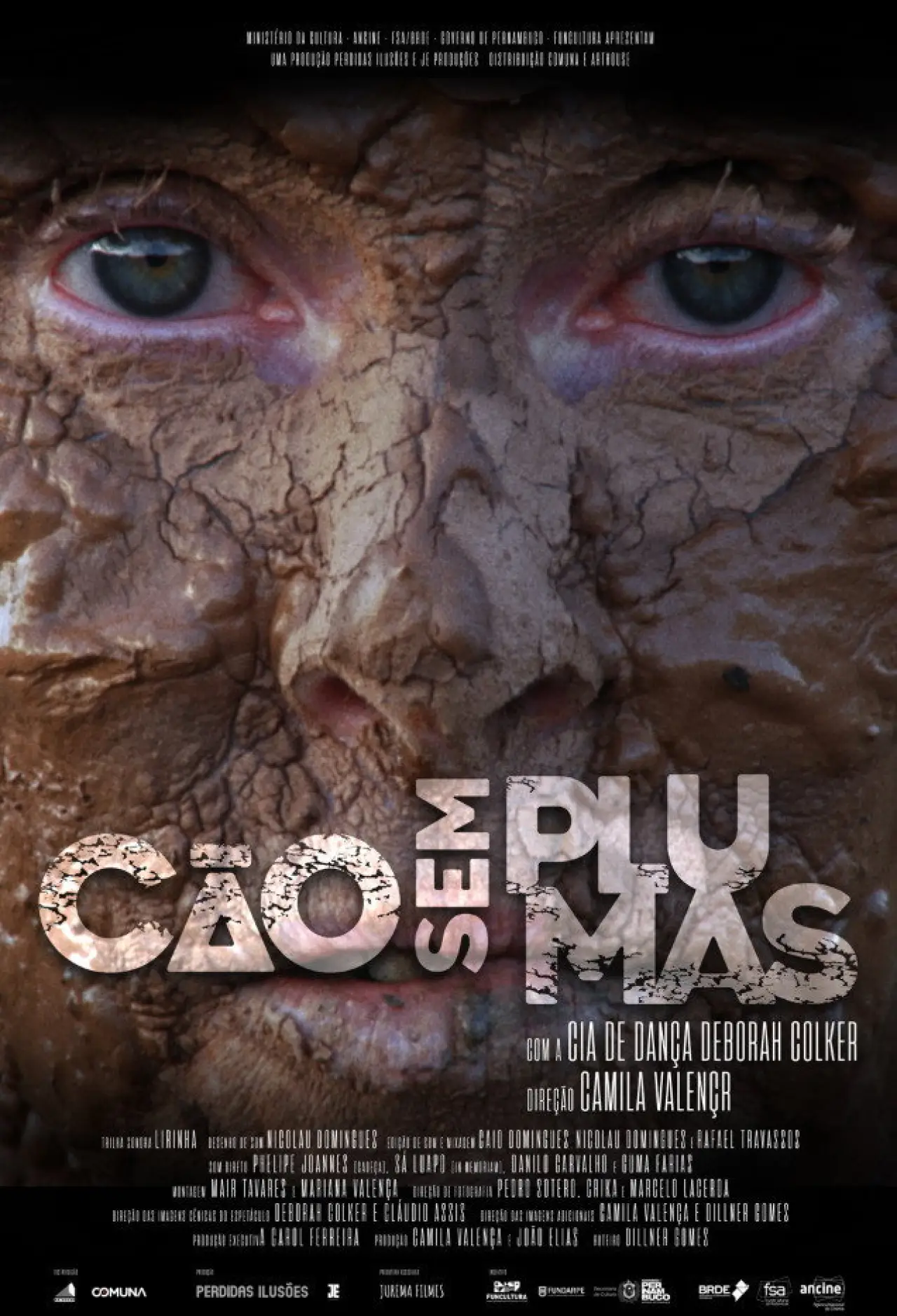 Постер к фильму "Cão Sem Plumas"