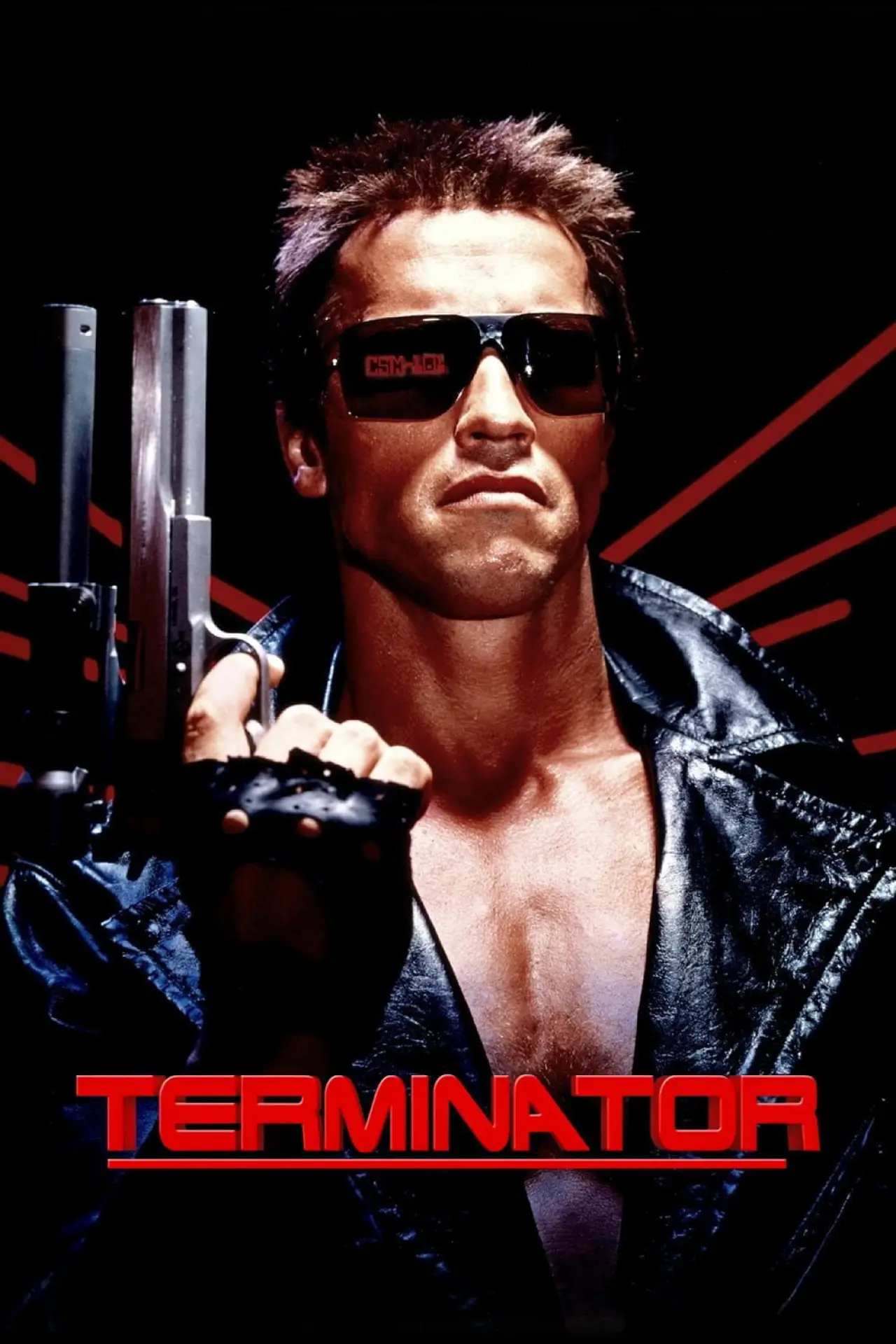 Постер к фильму "Terminator, des machines et des hommes... et une femme"