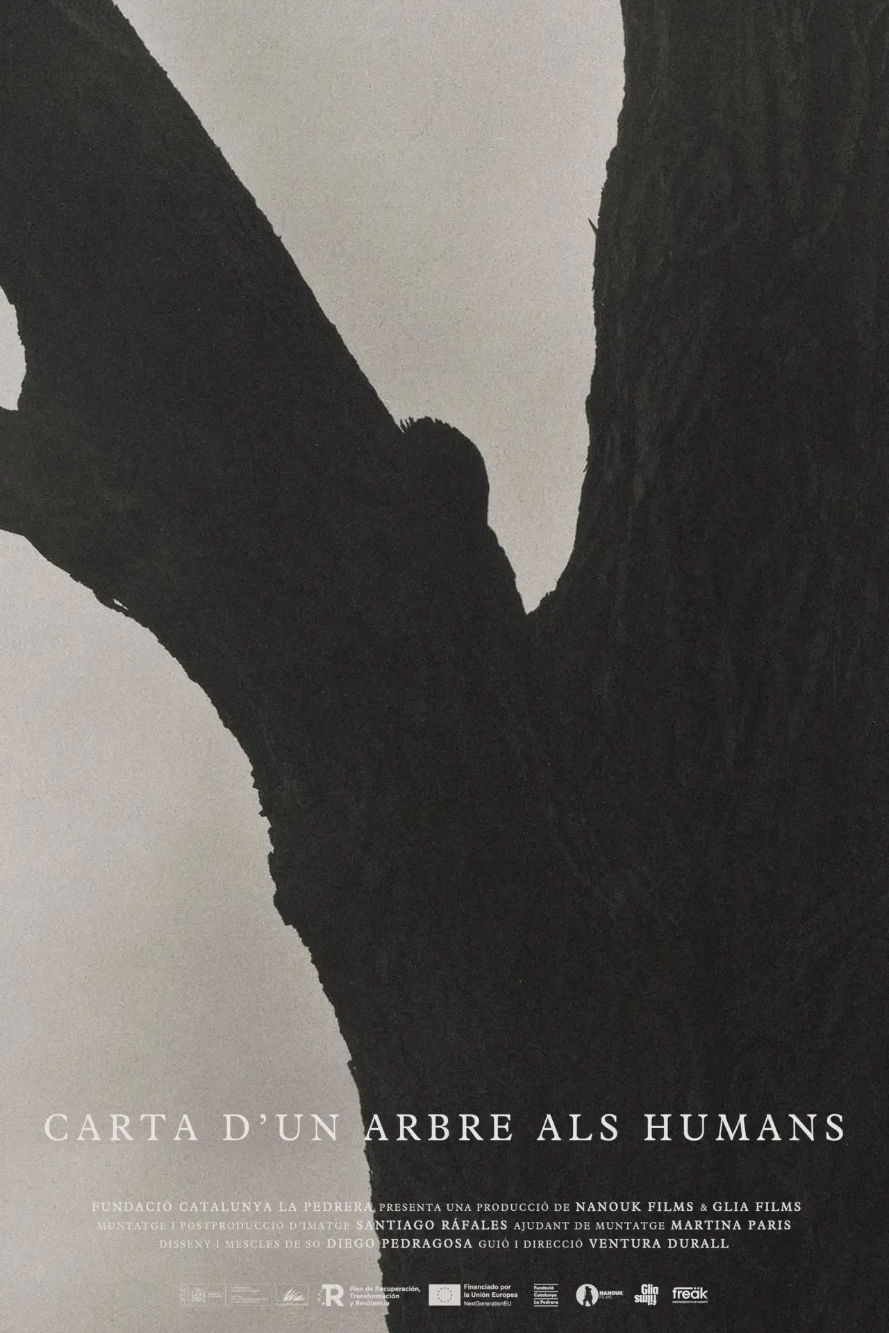 Постер к фильму "Carta d’un arbre als humans"