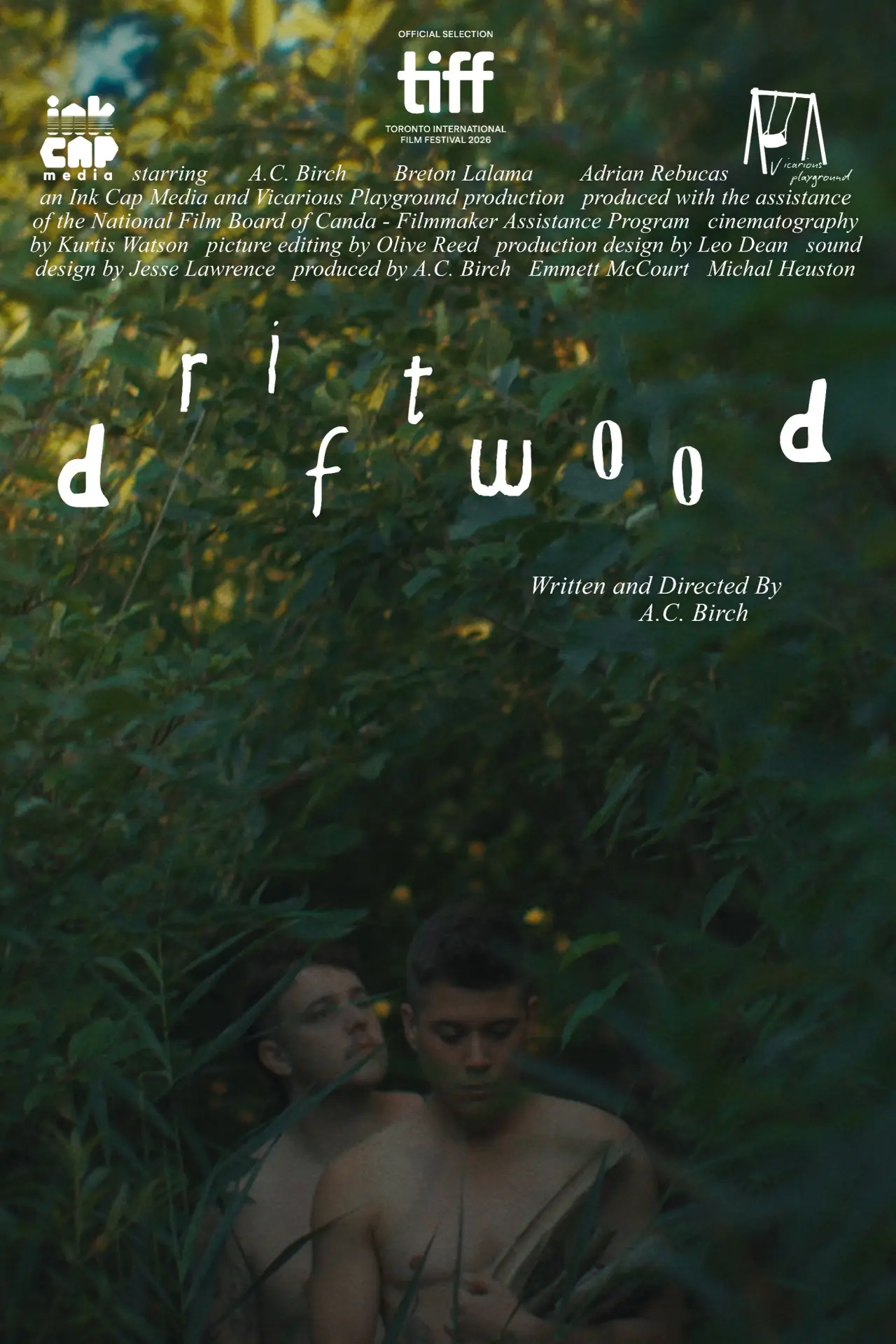 Постер к фильму "Driftwood"