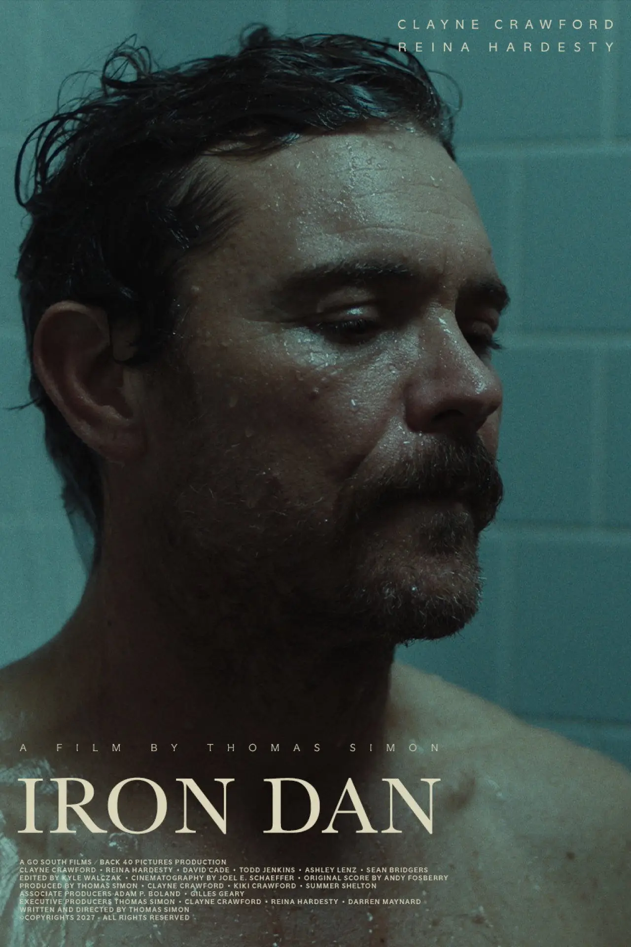 Постер к фильму "Iron Dan"