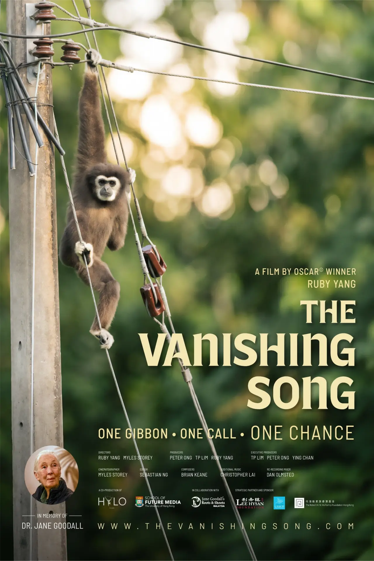 Постер к фильму "The Vanishing Song"