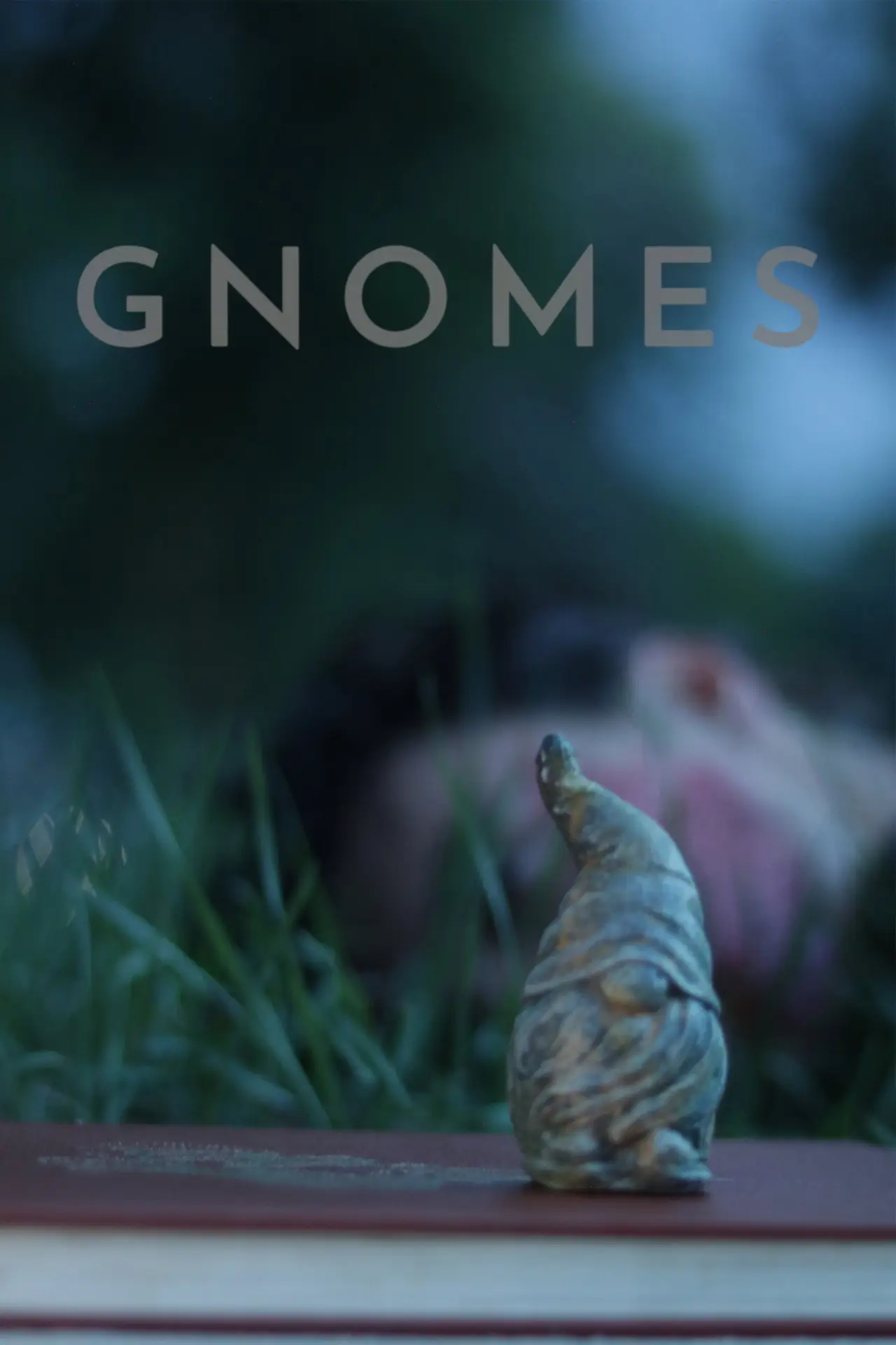 Постер к фильму "Gnomes"