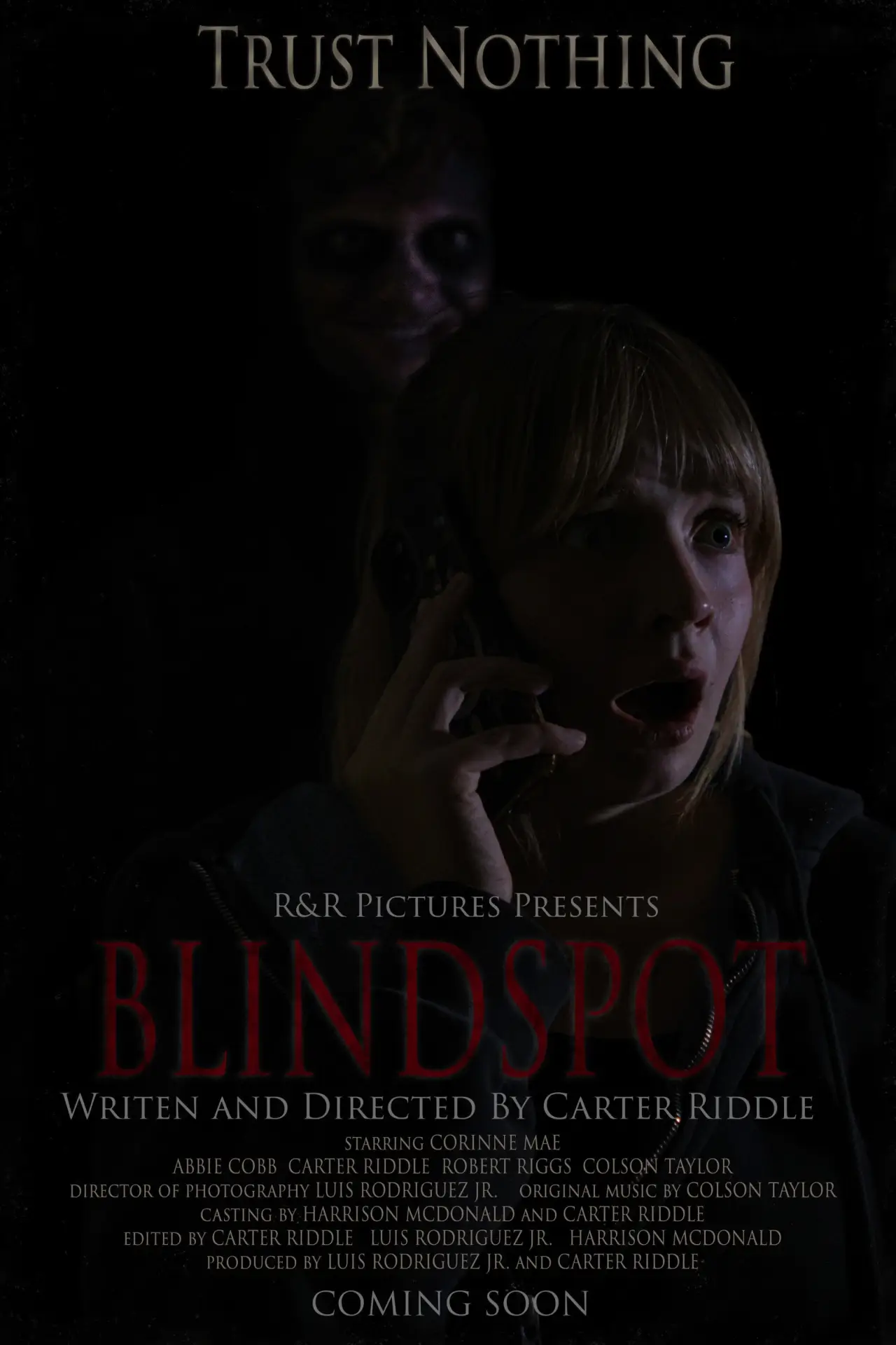 Постер к фильму "BLINDSPOT"