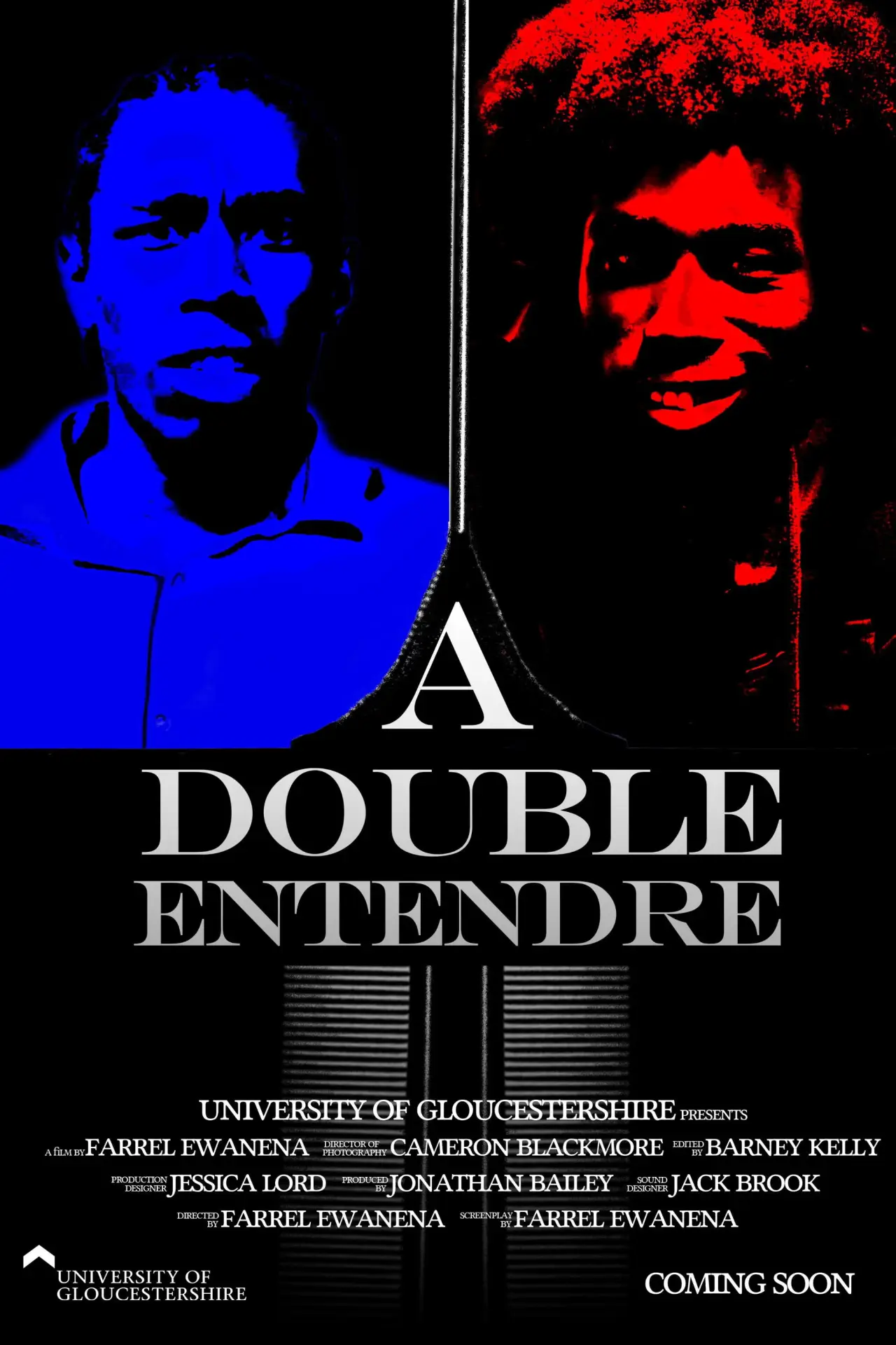 Постер к фильму "A Double Entendre"