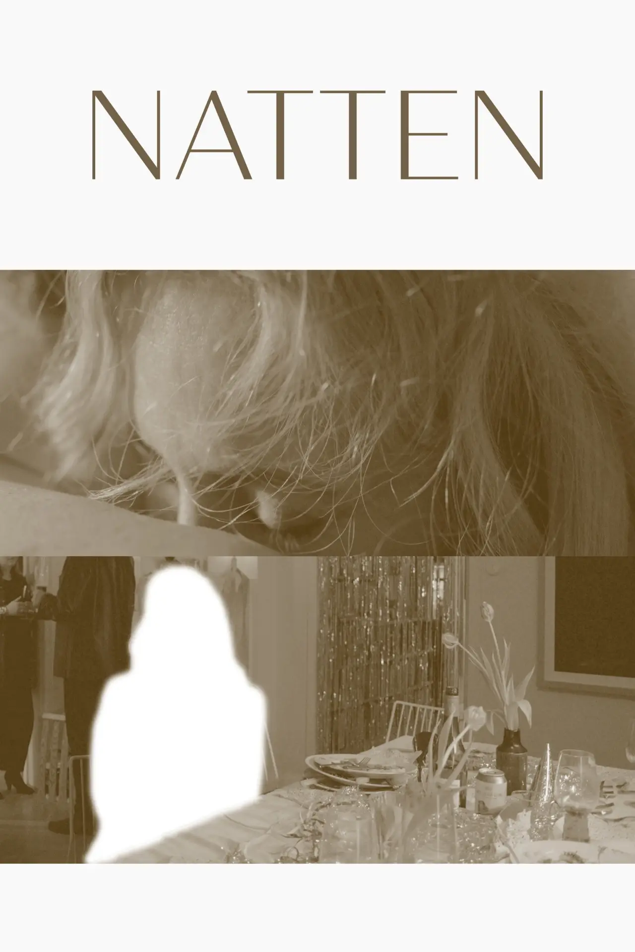 Постер к фильму "Natten"