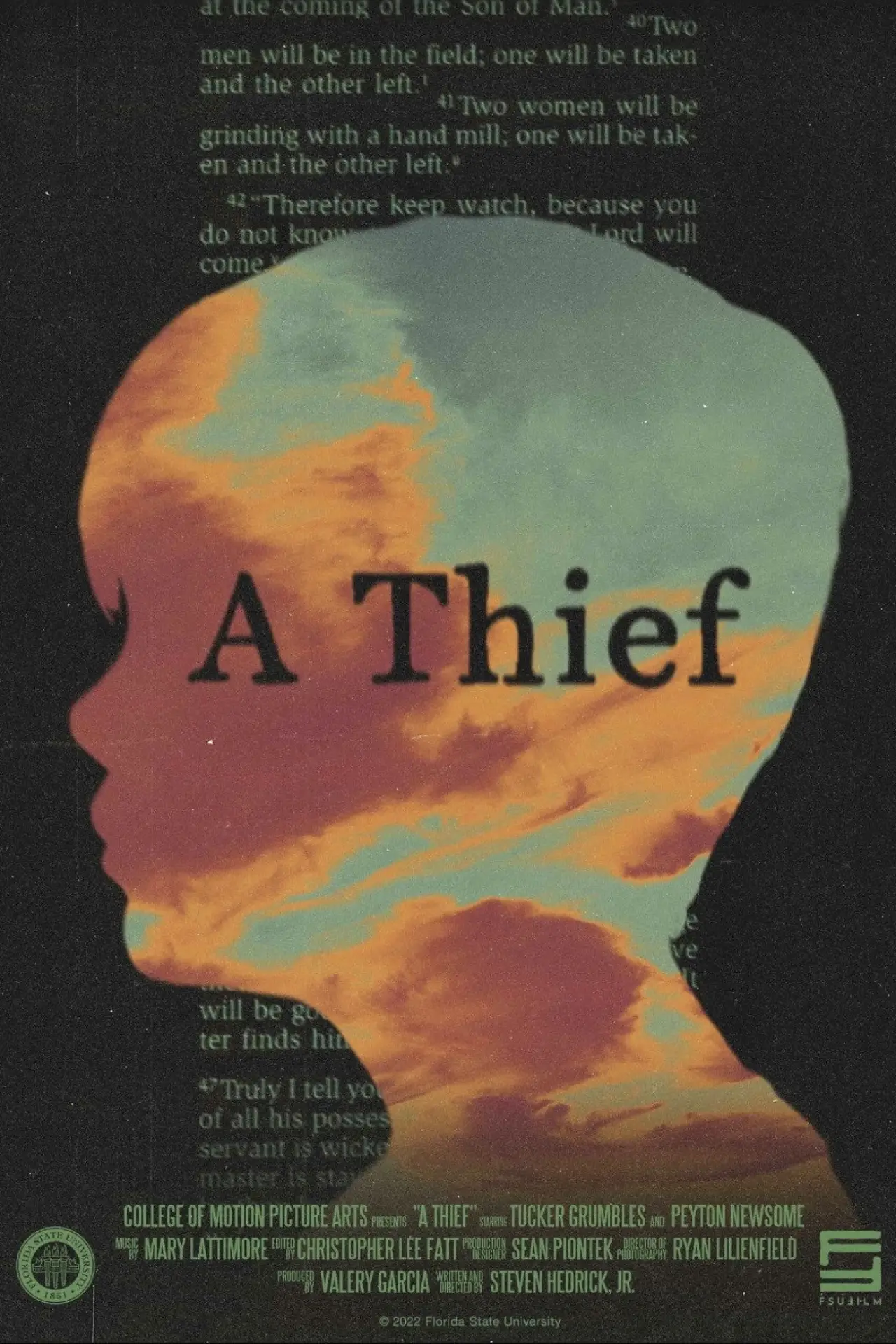 Постер к фильму "A Thief"