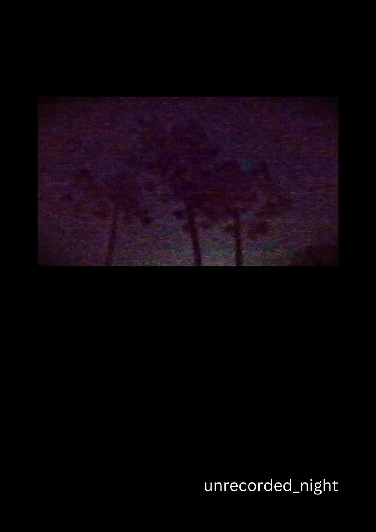 Постер к фильму "unrecorded_night"