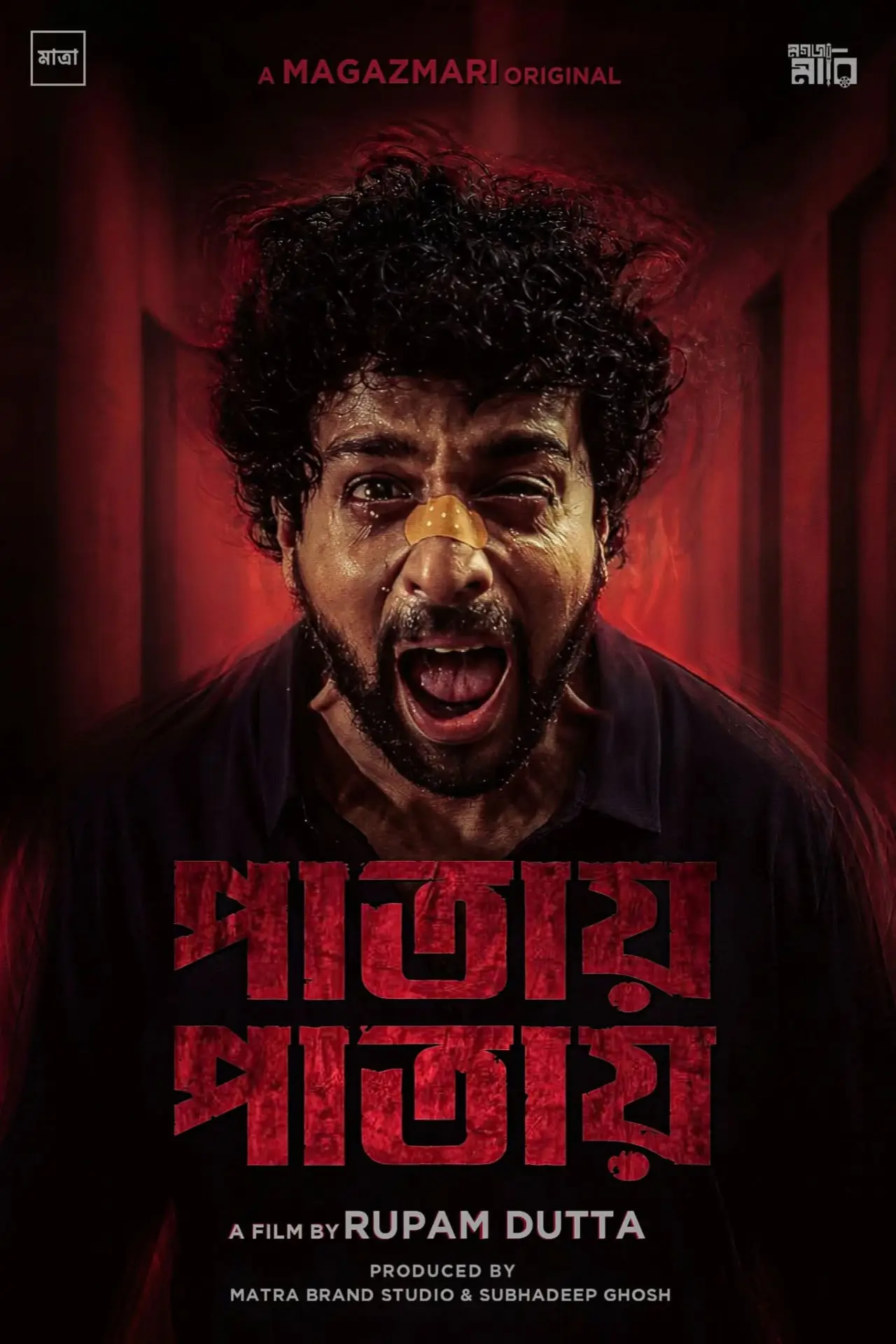 Постер к фильму "পাতায় পাতায়"