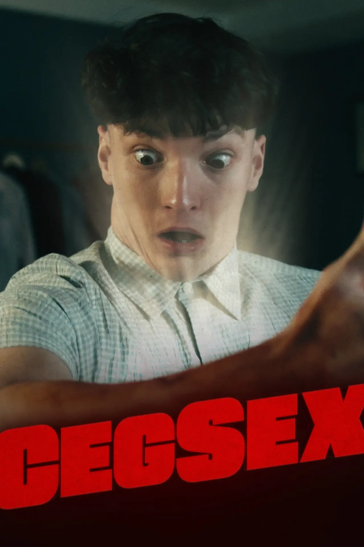 Постер к фильму "Cegsex"