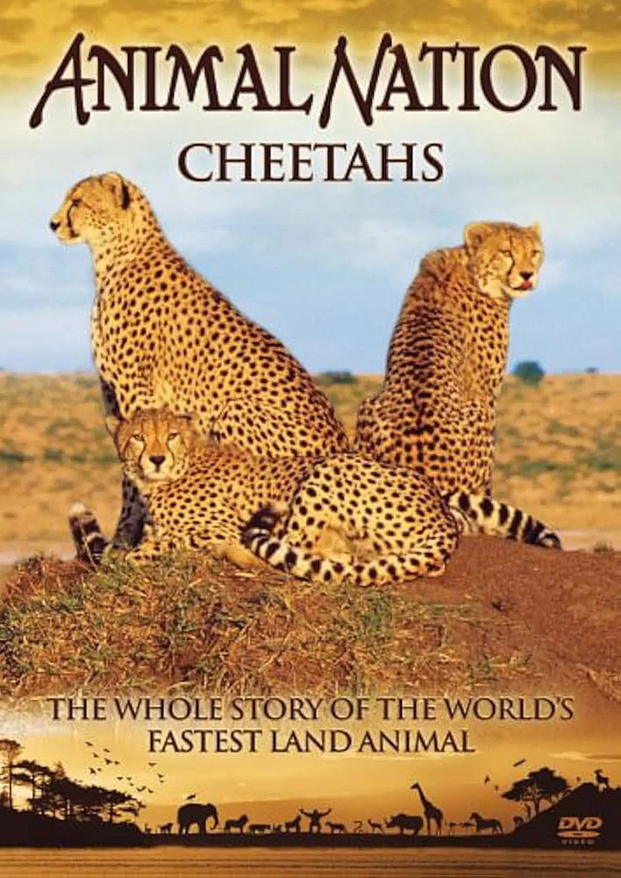 Постер к фильму "Animal Nation Cheetahs"